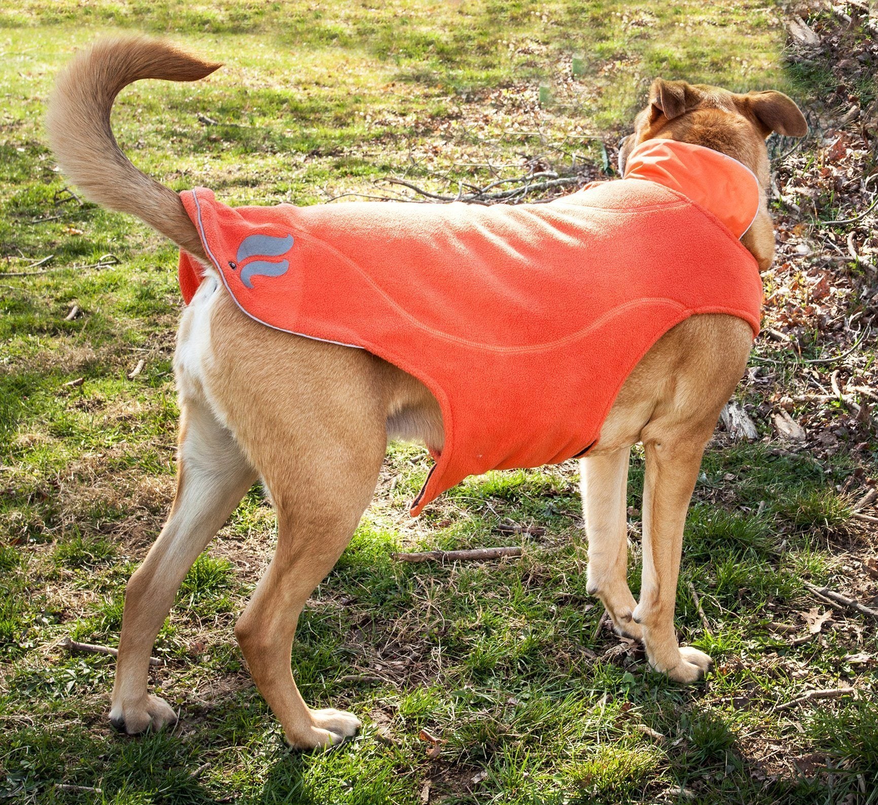 Dog Helios ® Lotus-Rusher 2-in-1 Dual-Removable Layered Performance Dog Jacket - Image 13