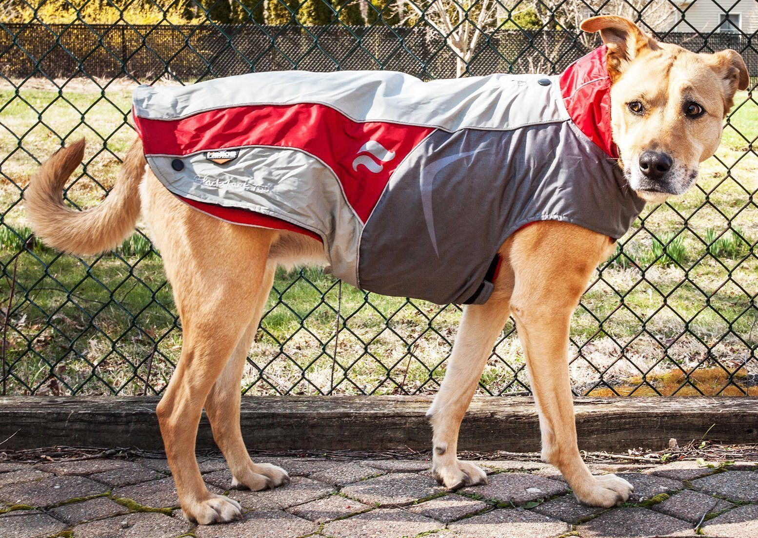 Dog Helios ® Lotus-Rusher 2-in-1 Dual-Removable Layered Performance Dog Jacket - Image 14