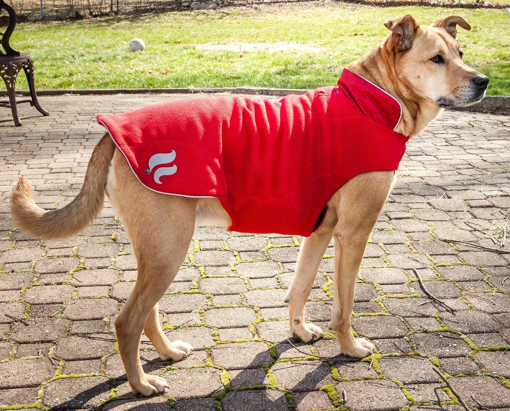 Dog Helios ® Lotus-Rusher 2-in-1 Dual-Removable Layered Performance Dog Jacket - Image 15