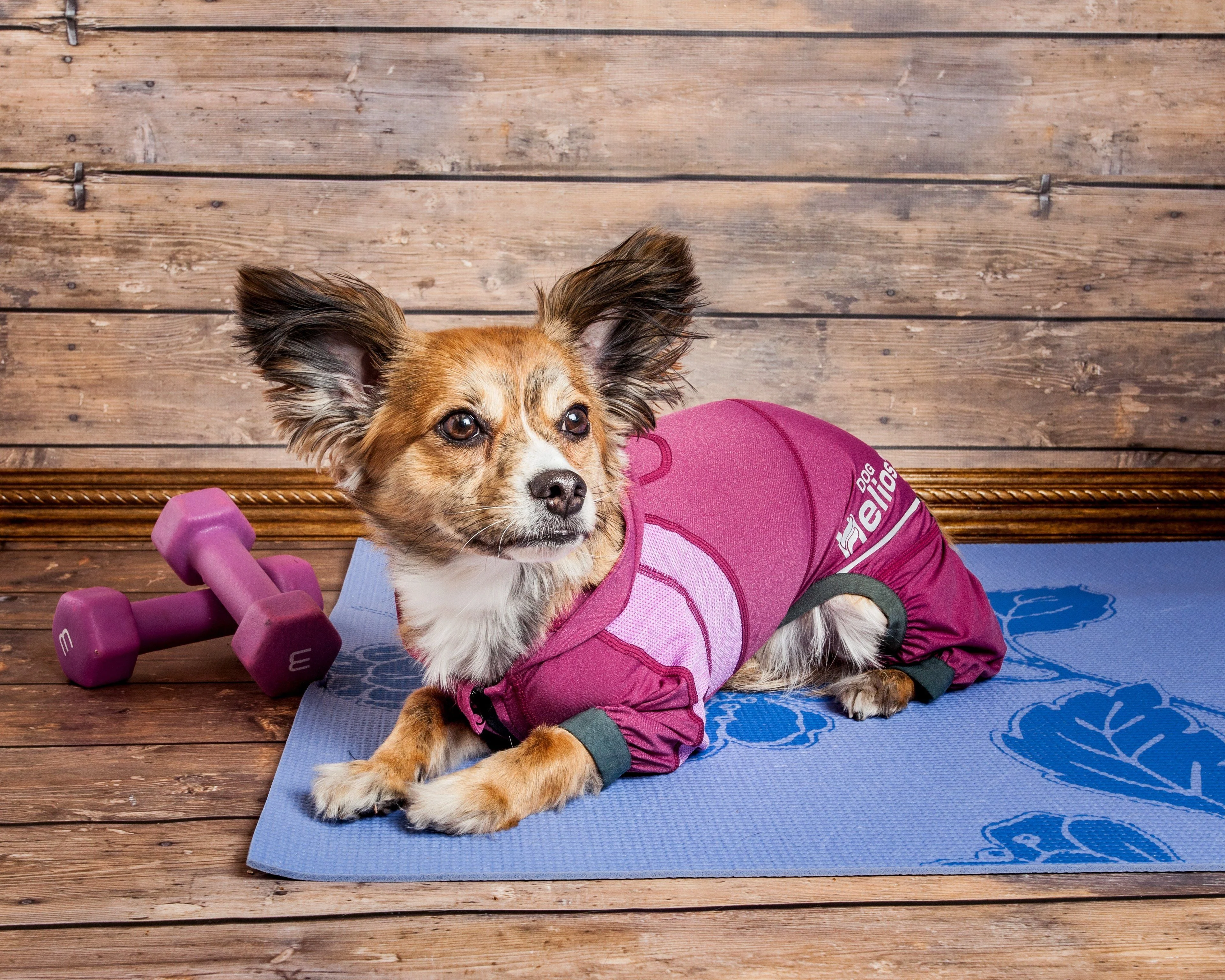 Dog Helios ® 'Namastail' Lightweight 4-Way-Stretch Yoga Performance Dog Tracksuit Hoodie - Image 15