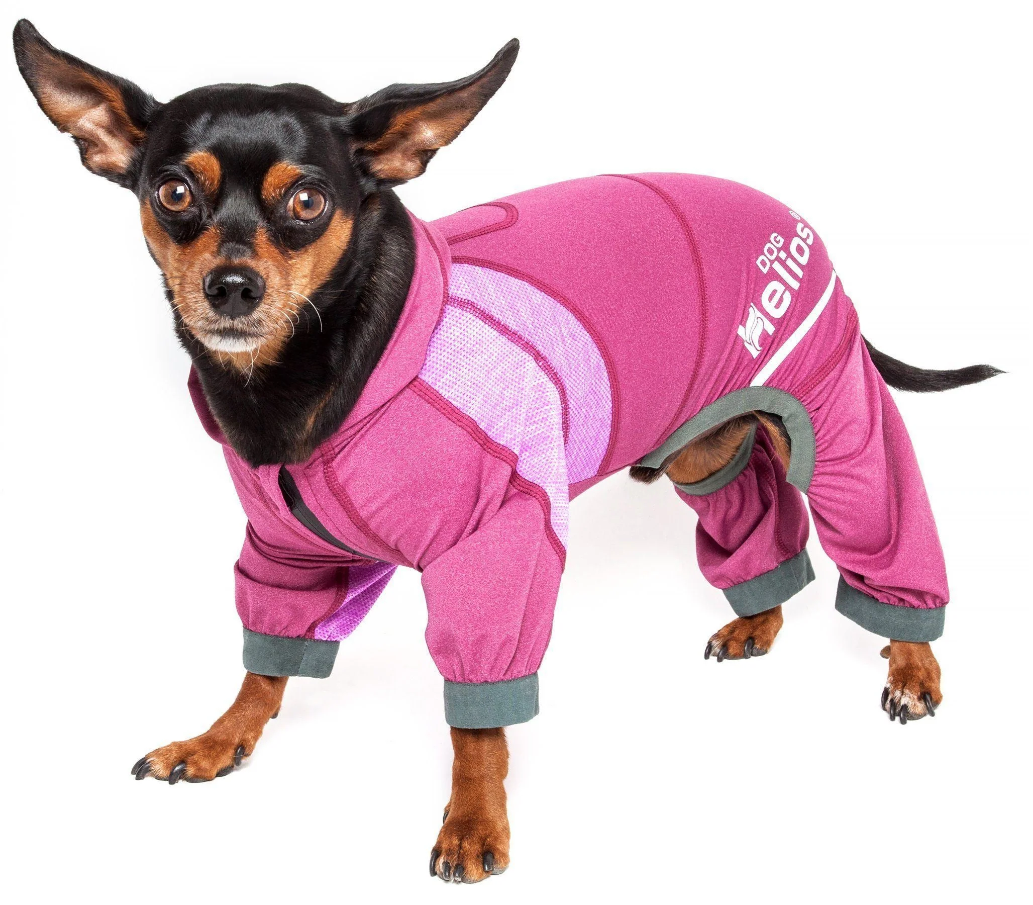 Dog Helios ® 'Namastail' Lightweight 4-Way-Stretch Yoga Performance Dog Tracksuit Hoodie - Image 18