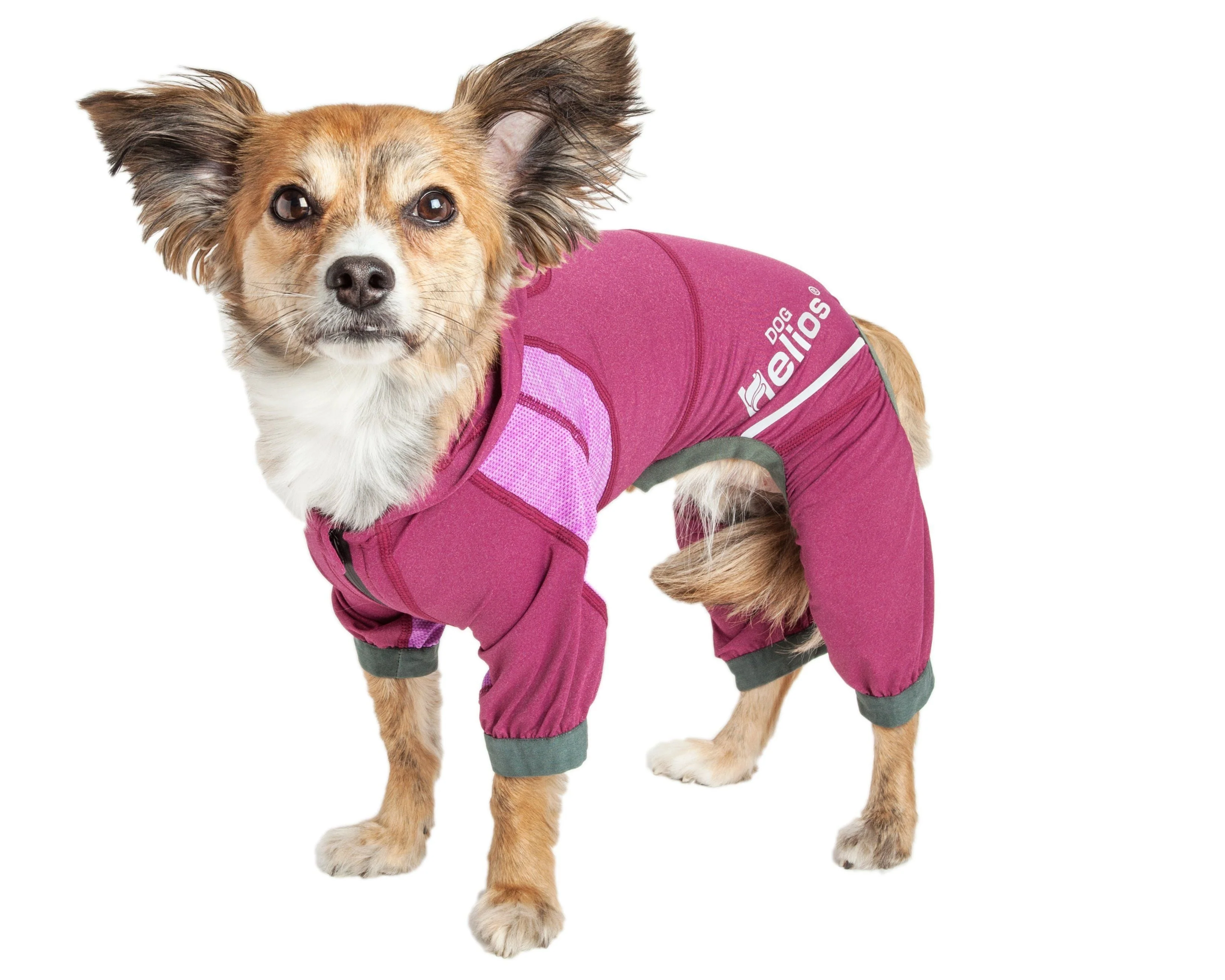 Dog Helios ® 'Namastail' Lightweight 4-Way-Stretch Yoga Performance Dog Tracksuit Hoodie - Image 4