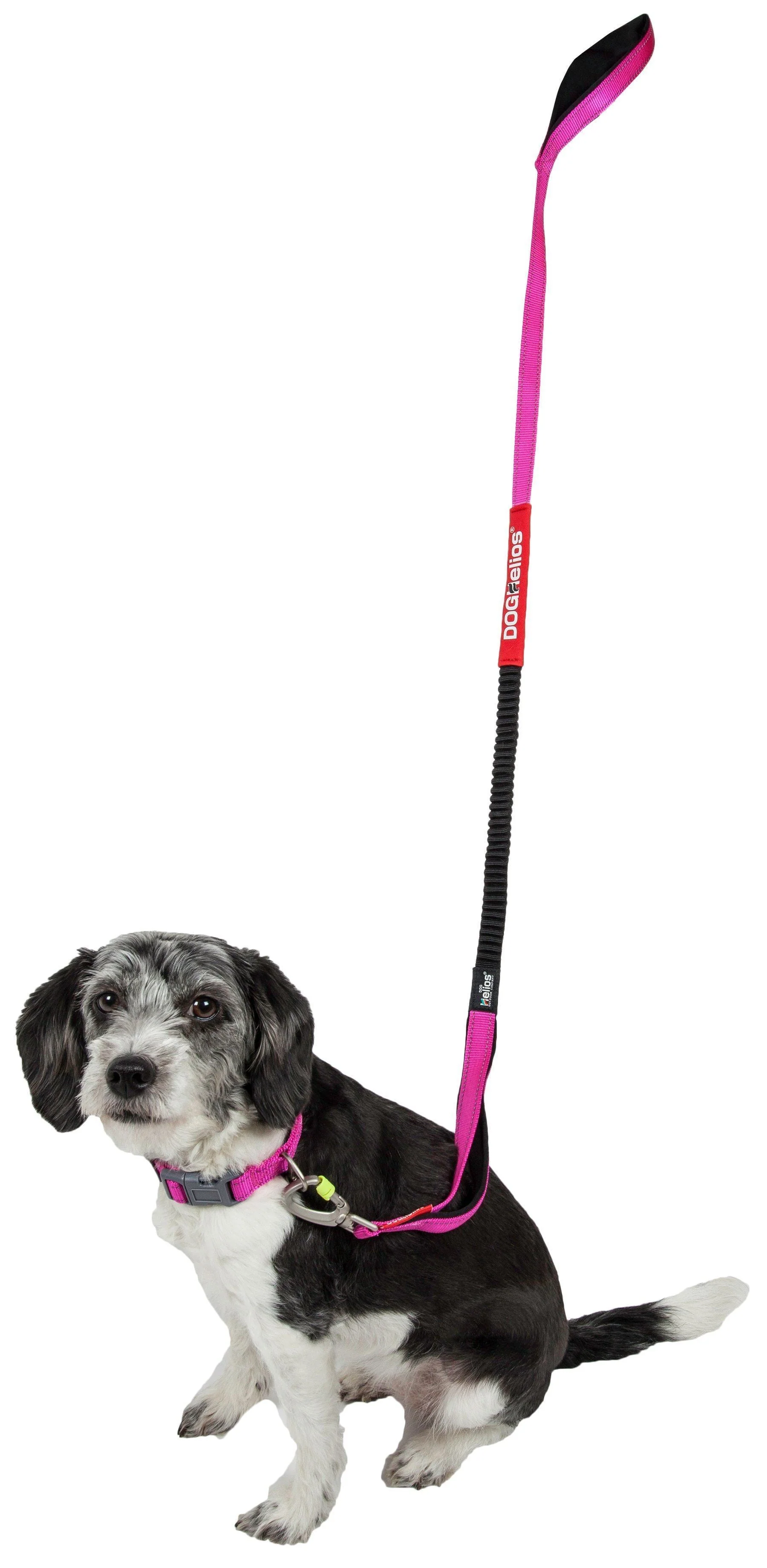 Dog Helios ® 'Neo-Indestructible' 2-in-1 Accordion Dog Collar and Leash - Image 10