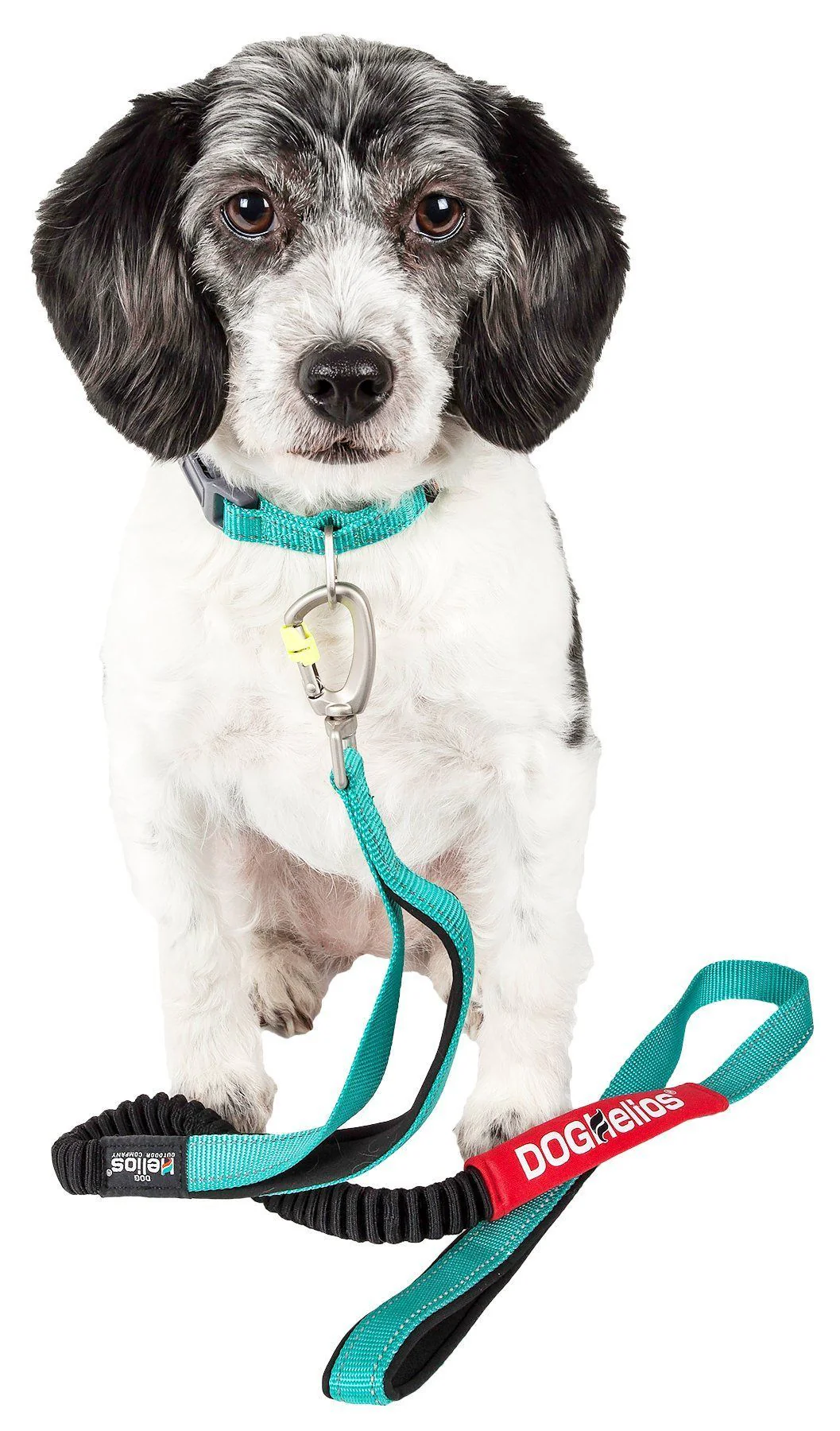 Dog Helios ® 'Neo-Indestructible' 2-in-1 Accordion Dog Collar and Leash - Image 2