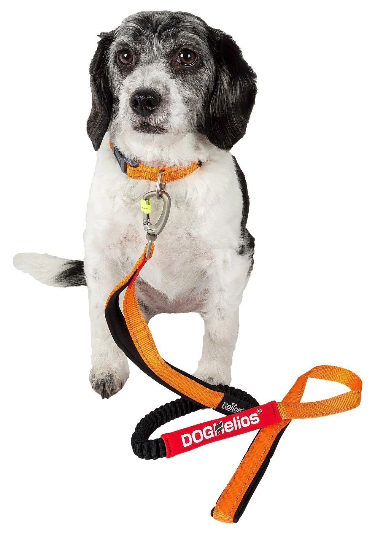 Dog Helios ® 'Neo-Indestructible' 2-in-1 Accordion Dog Collar and Leash - Image 3