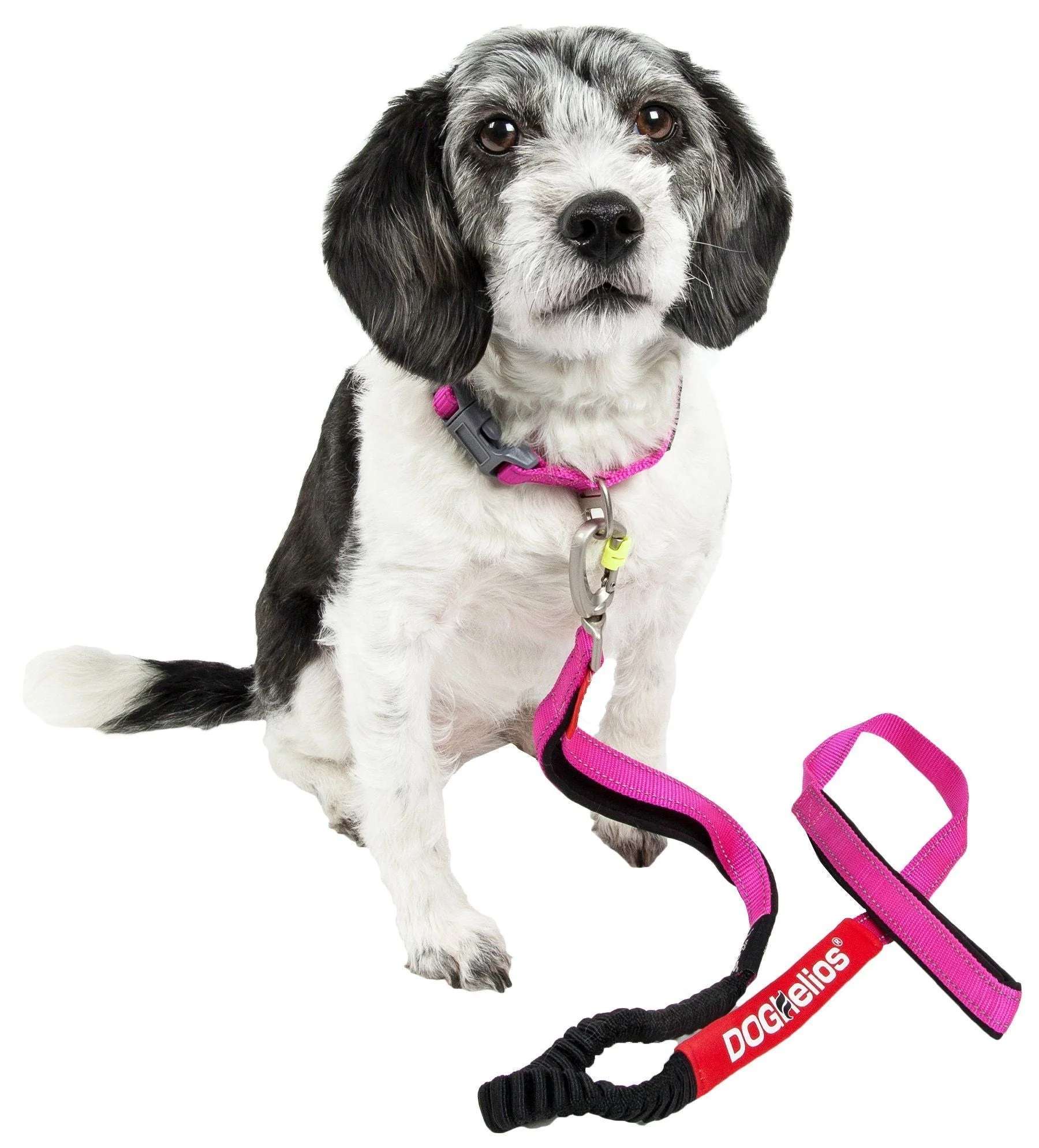 Dog Helios ® 'Neo-Indestructible' 2-in-1 Accordion Dog Collar and Leash - Image 4