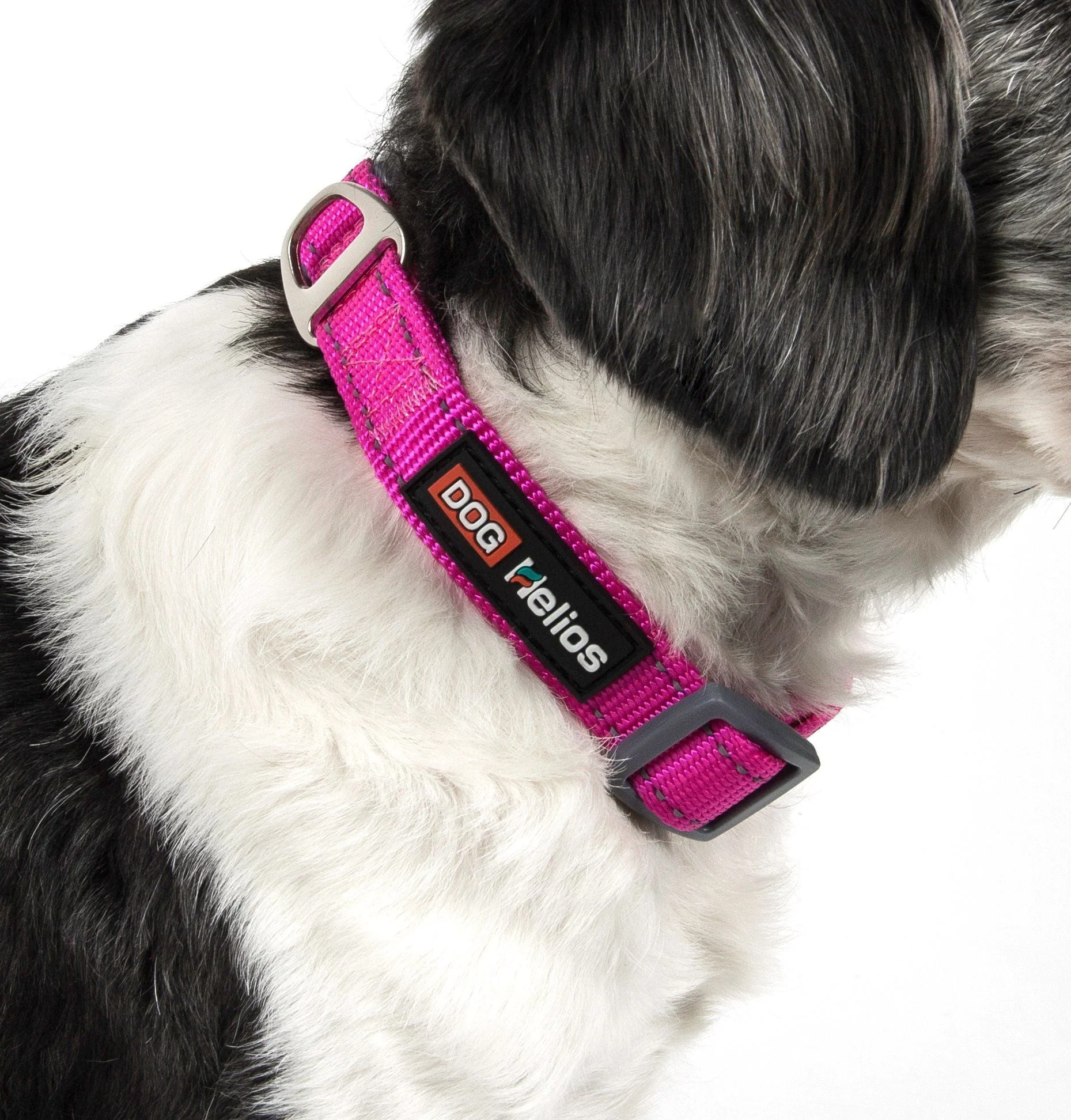 Dog Helios ® 'Neo-Indestructible' 2-in-1 Accordion Dog Collar and Leash - Image 9