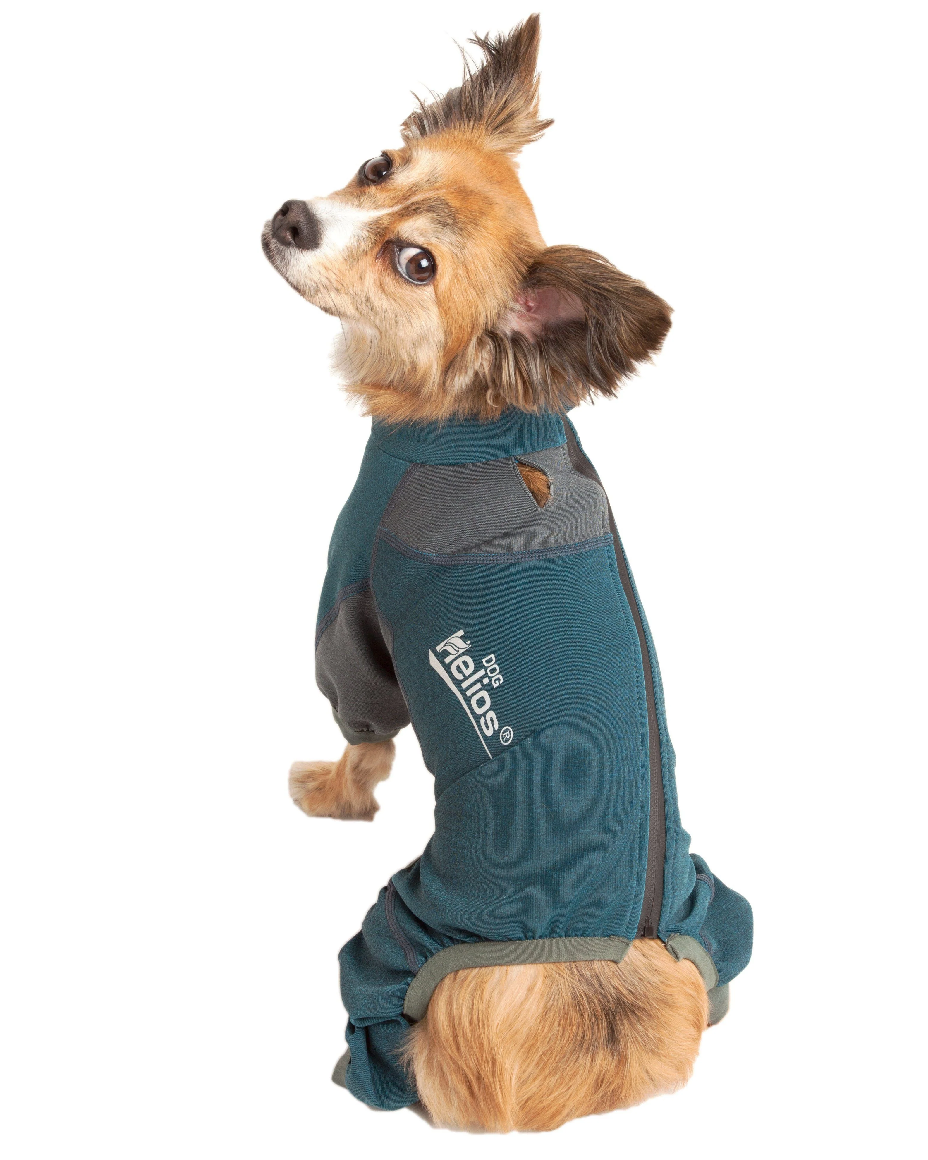 Dog Helios ® 'Rufflex' Mediumweight 4-Way-Stretch Fitness Yoga Dog Tracksuit Jacket - Image 10