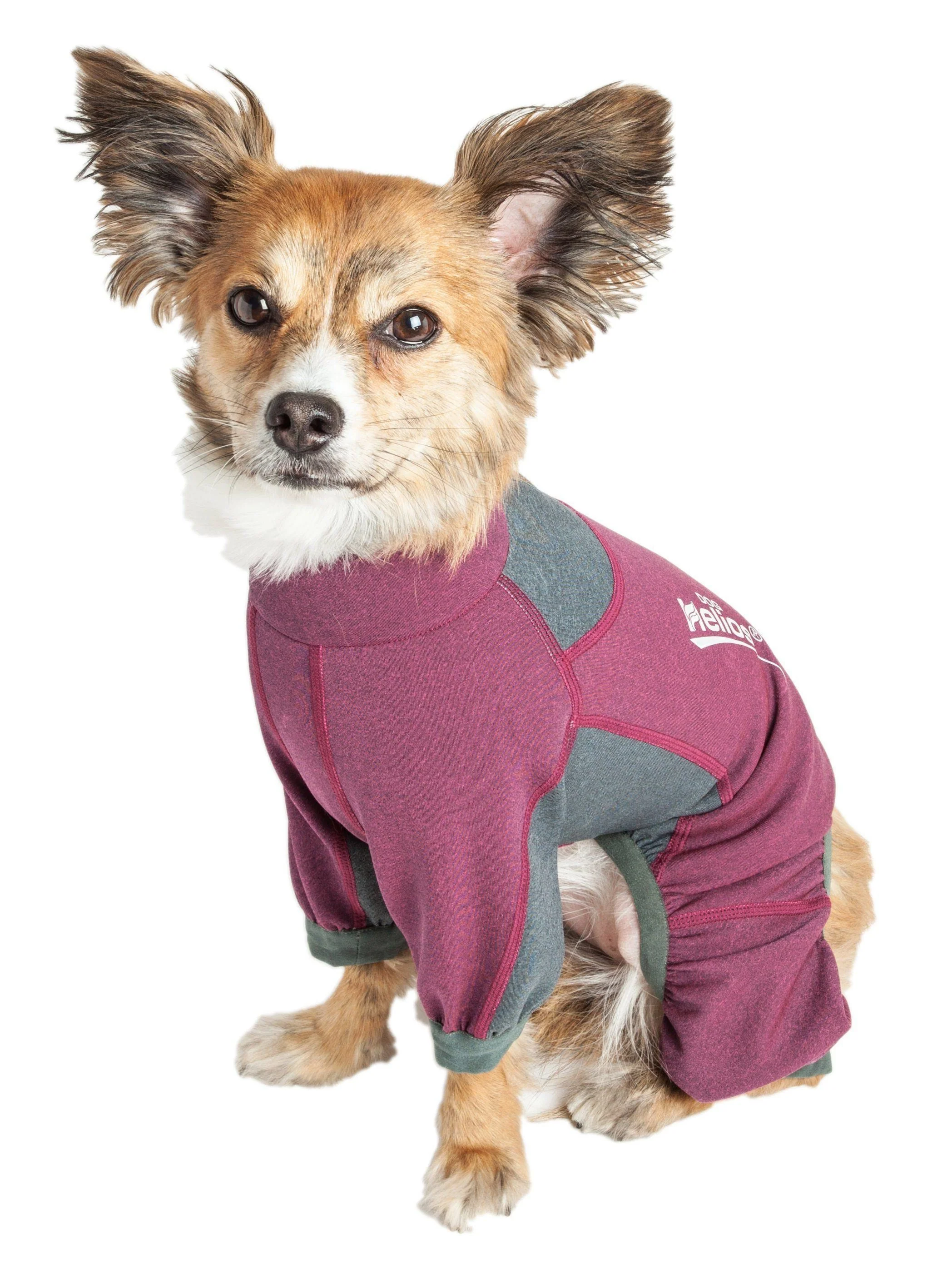Dog Helios ® 'Rufflex' Mediumweight 4-Way-Stretch Fitness Yoga Dog Tracksuit Jacket - Image 14