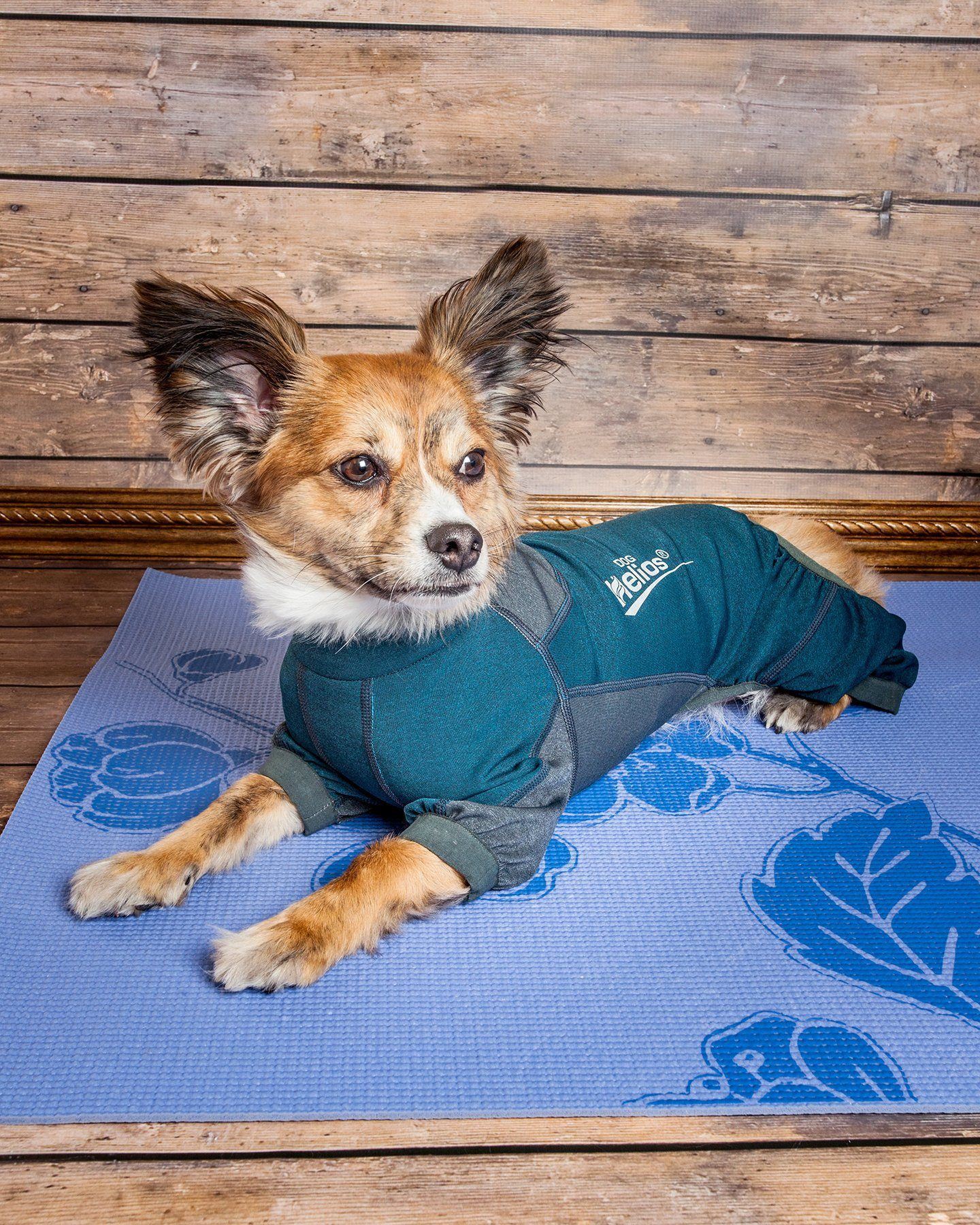 Dog Helios ® 'Rufflex' Mediumweight 4-Way-Stretch Fitness Yoga Dog Tracksuit Jacket - Image 19