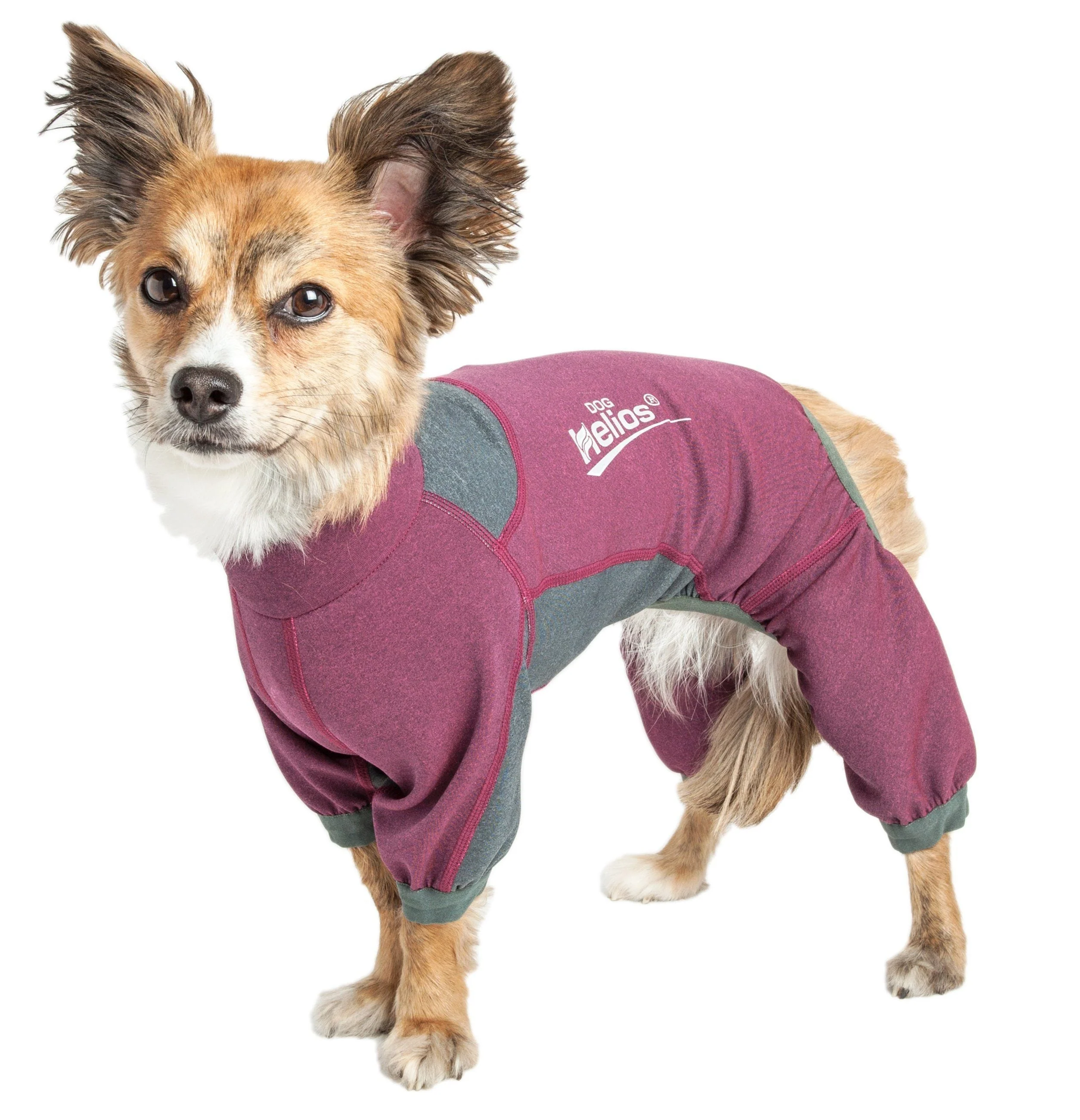 Dog Helios ® 'Rufflex' Mediumweight 4-Way-Stretch Fitness Yoga Dog Tracksuit Jacket - Image 2