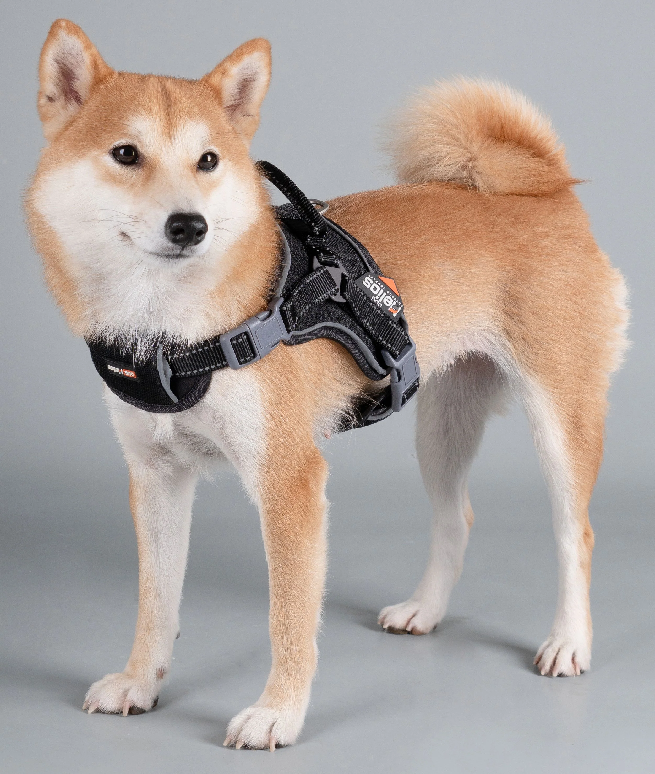 Dog Helios ® 'Scorpion' Sporty High-Performance Free-Range Dog Harness - Image 12