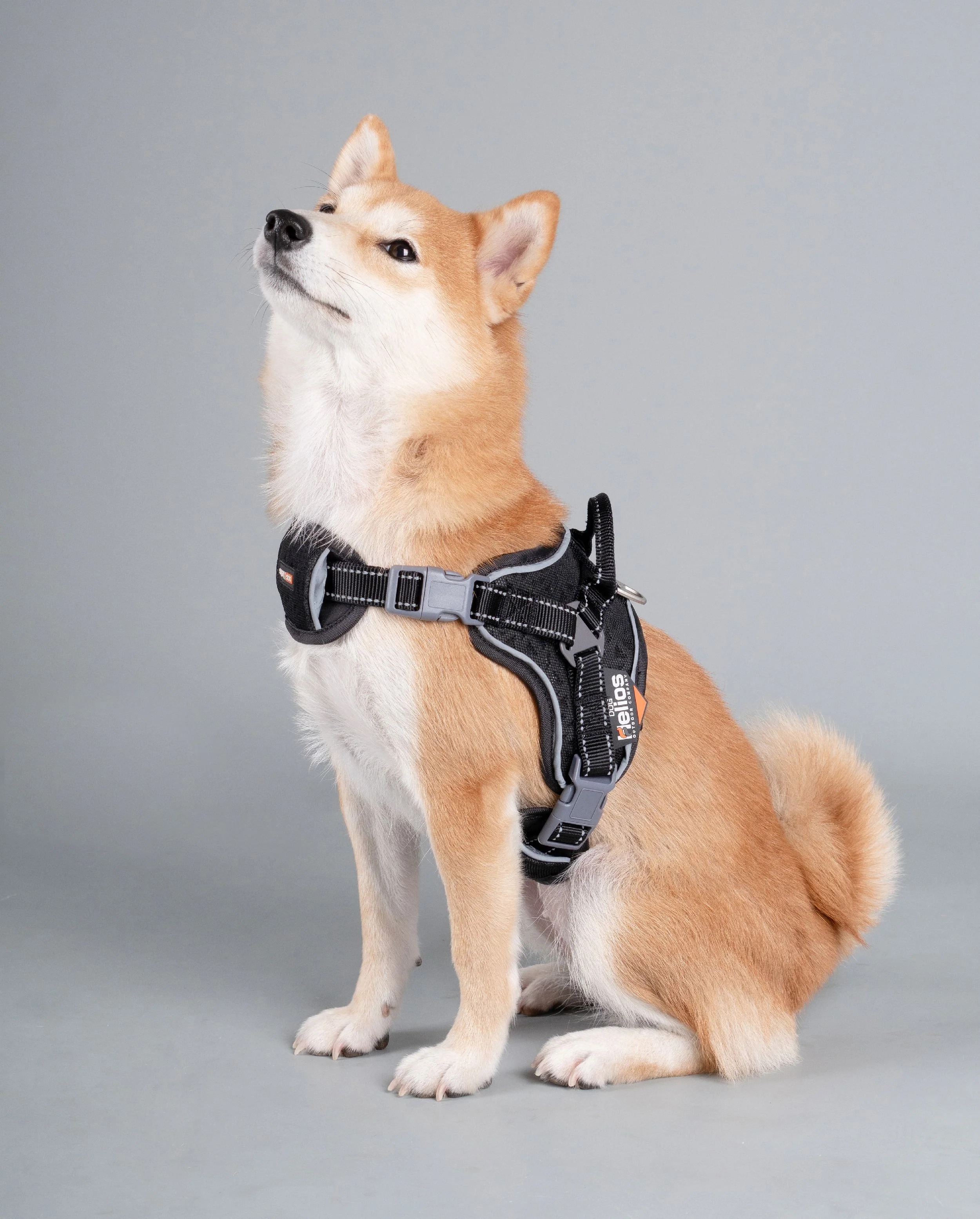 Dog Helios ® 'Scorpion' Sporty High-Performance Free-Range Dog Harness - Image 13