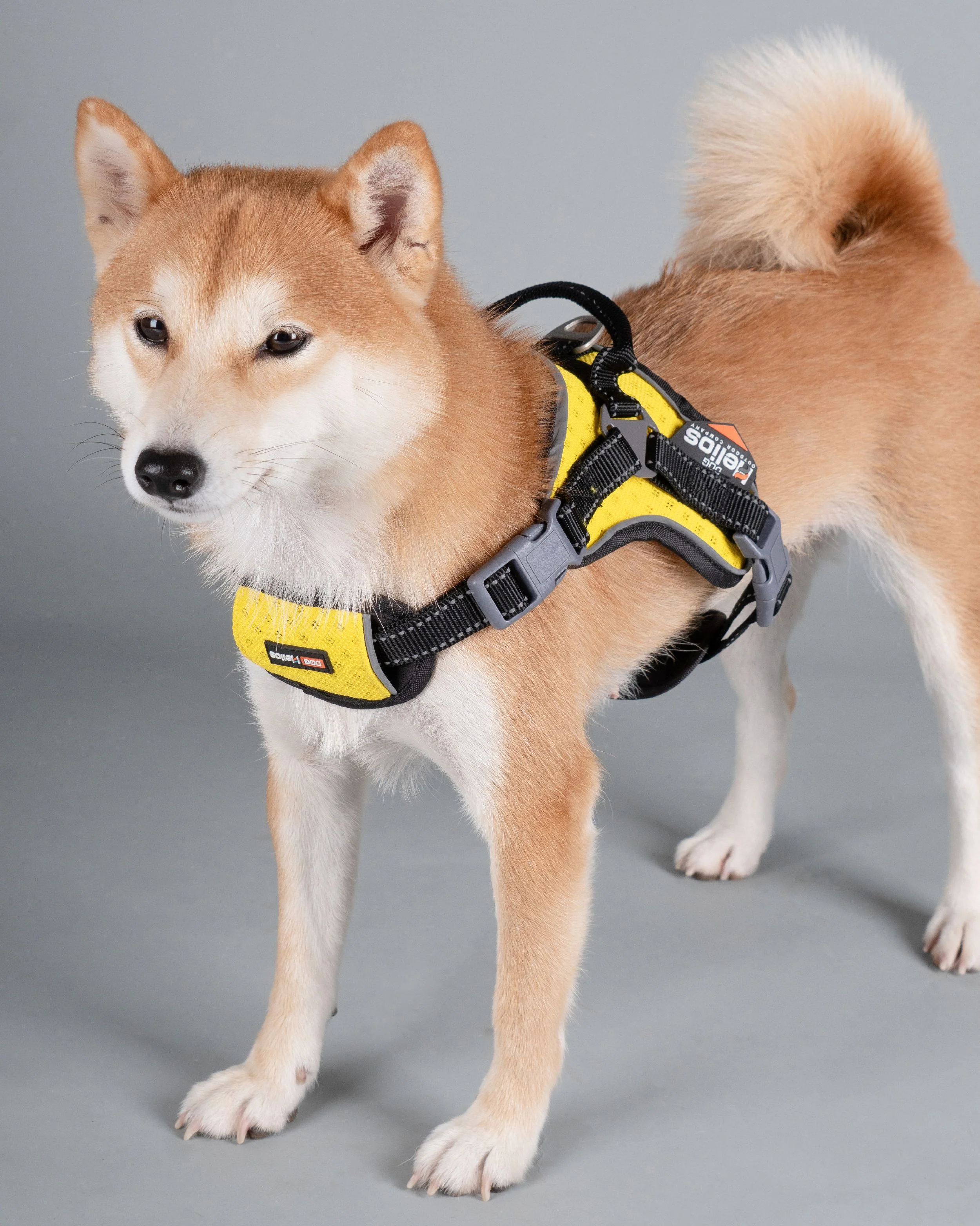 Dog Helios ® 'Scorpion' Sporty High-Performance Free-Range Dog Harness - Image 2