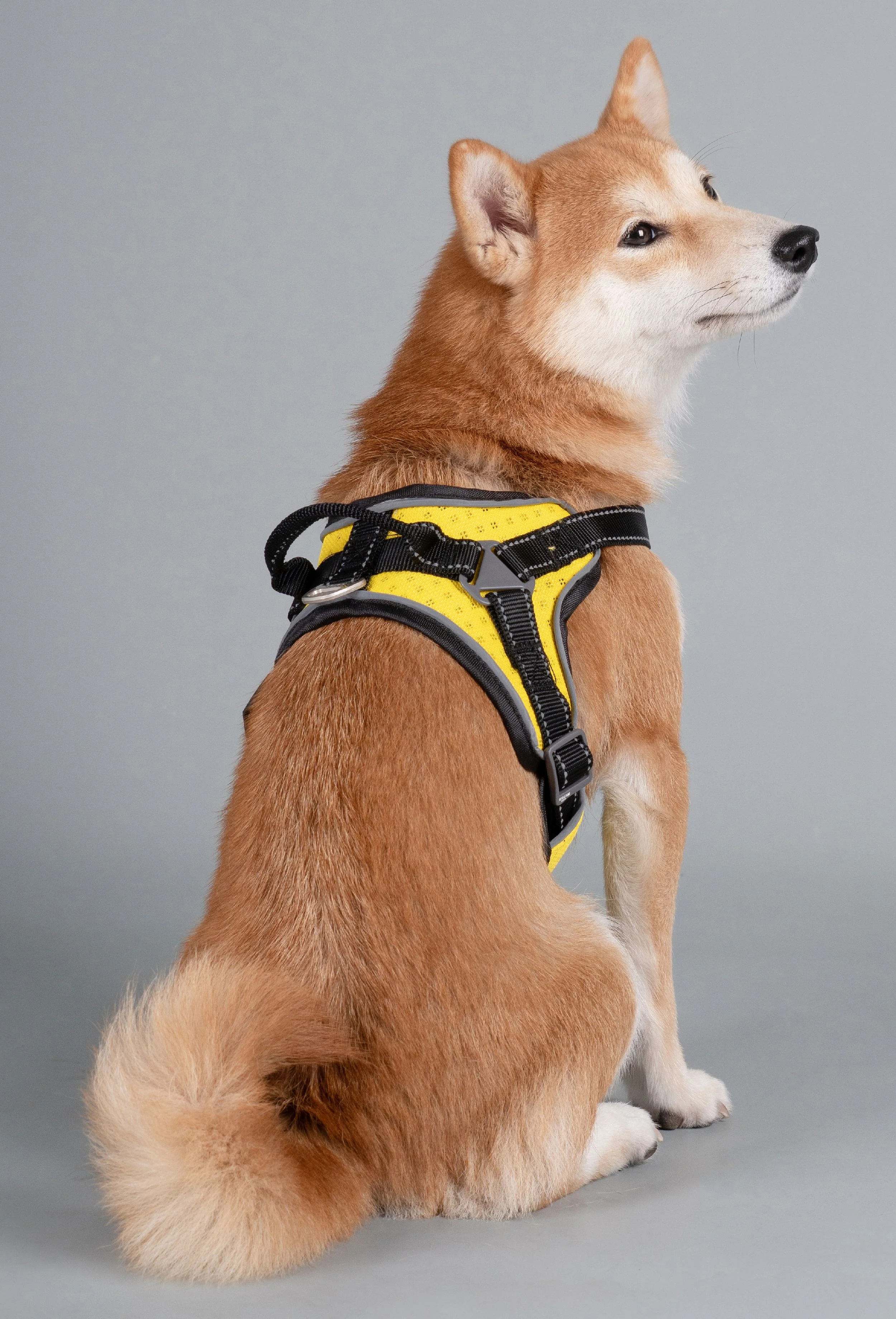 Dog Helios ® 'Scorpion' Sporty High-Performance Free-Range Dog Harness - Image 3
