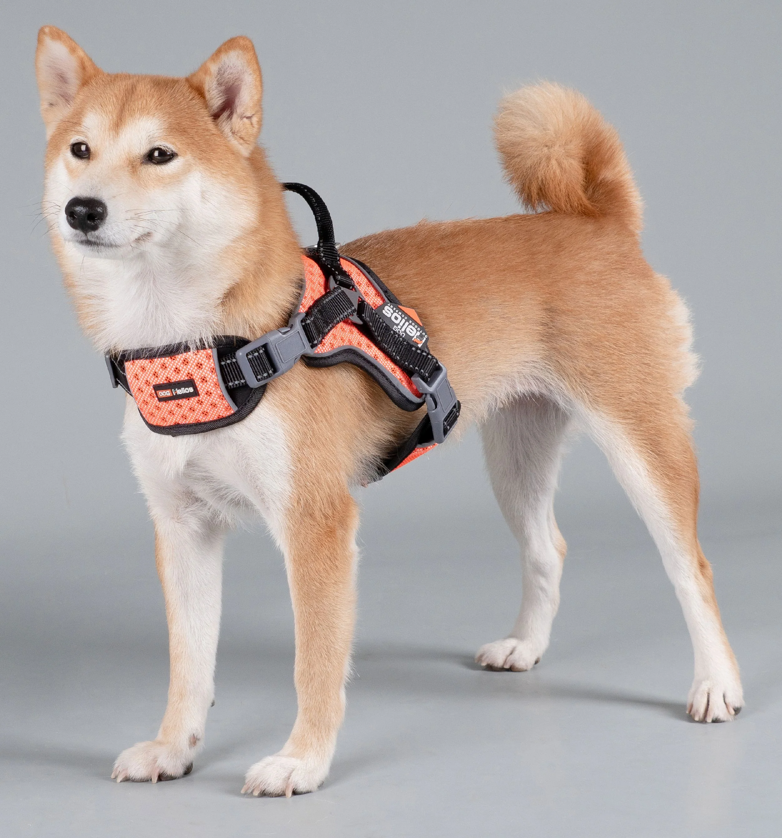 Dog Helios ® 'Scorpion' Sporty High-Performance Free-Range Dog Harness - Image 7