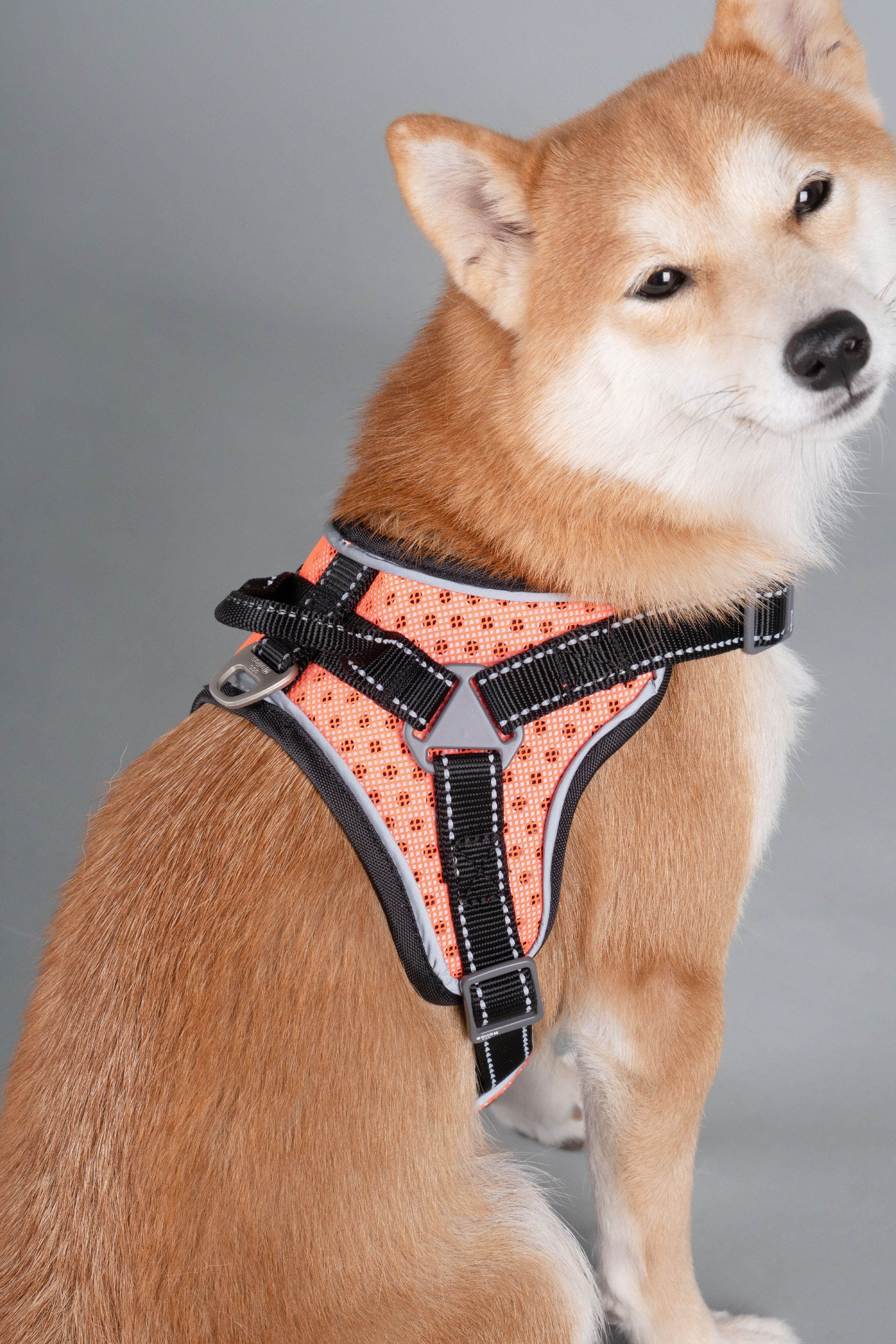 Dog Helios ® 'Scorpion' Sporty High-Performance Free-Range Dog Harness - Image 8