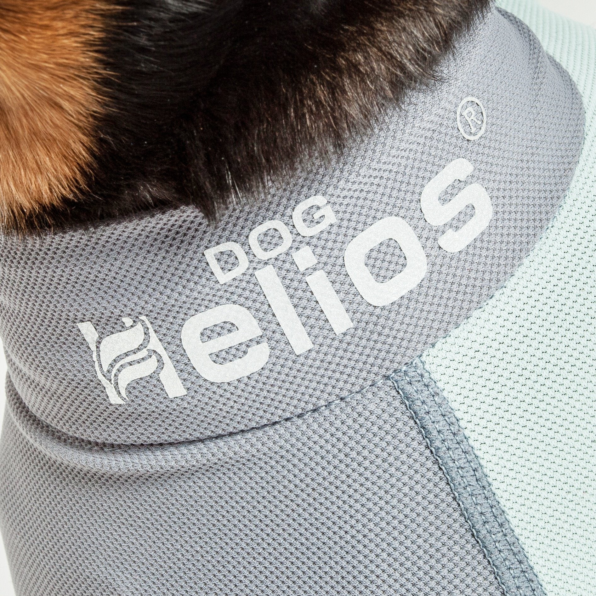 Dog Helios ® 'Tail Runner' Lightweight 4-Way-Stretch Breathable Yoga Dog Tracksuit - Image 10