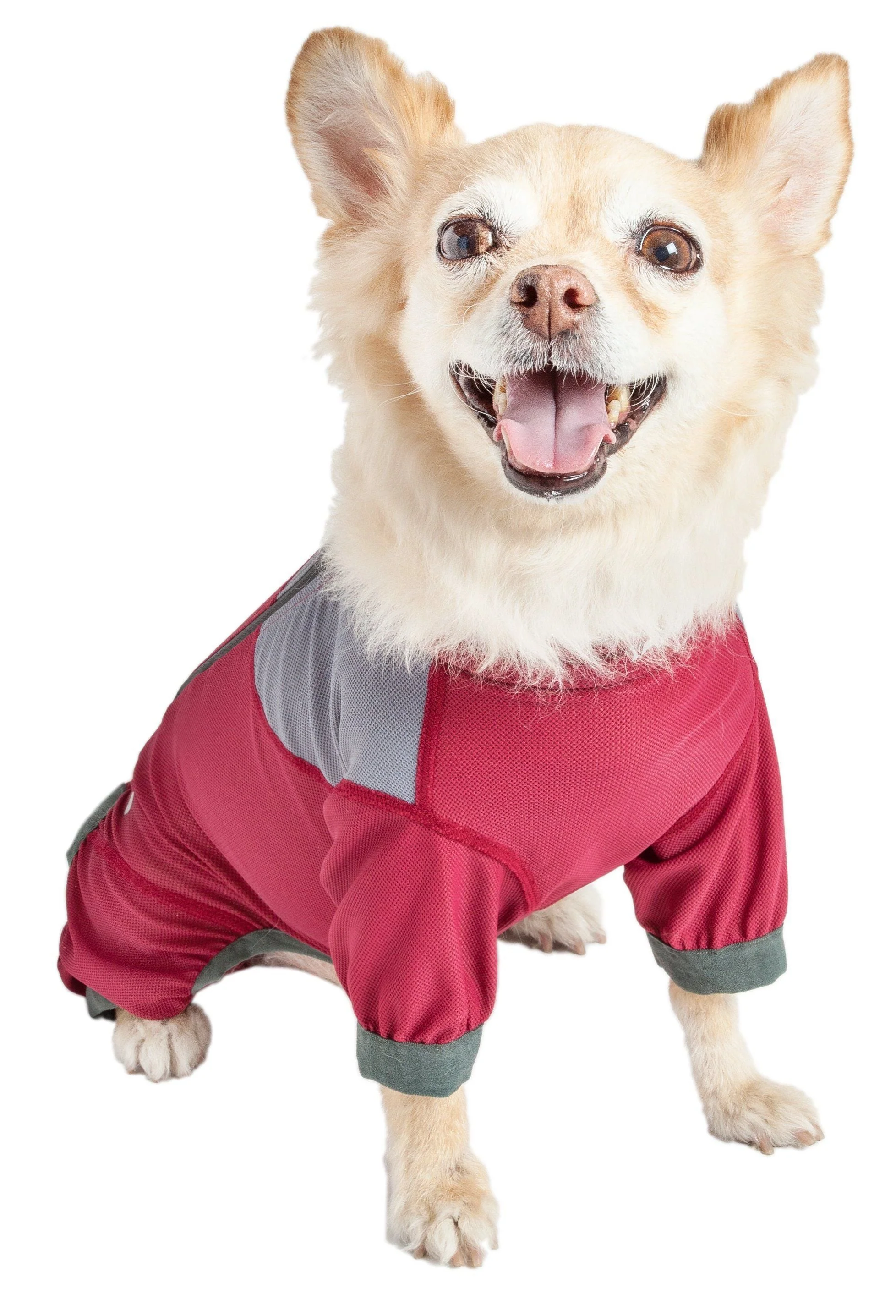 Dog Helios ® 'Tail Runner' Lightweight 4-Way-Stretch Breathable Yoga Dog Tracksuit - Image 11
