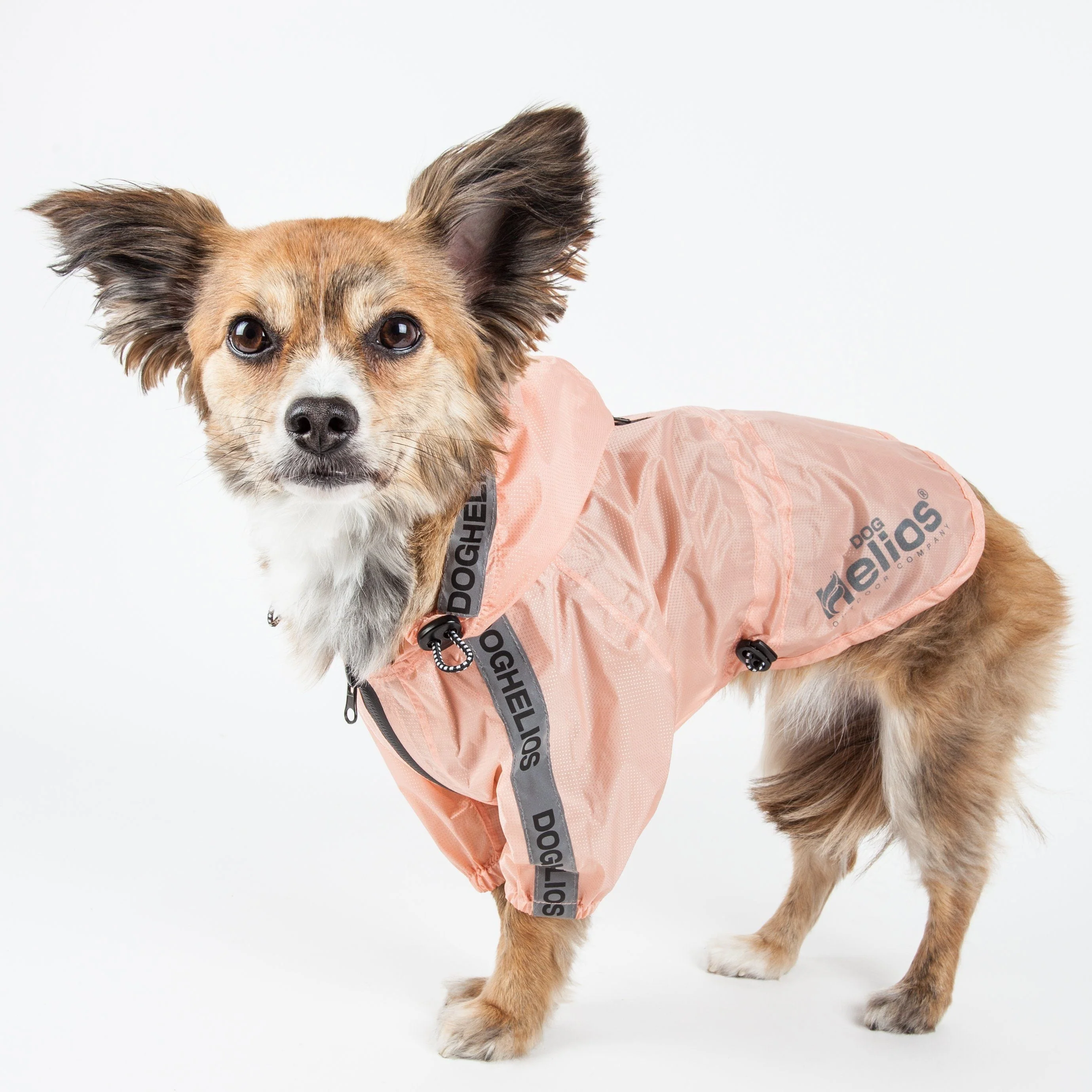 Dog Helios ® 'Torrential Shield' Adjustable and Waterproof Dog Raincoat Poncho - Image 14