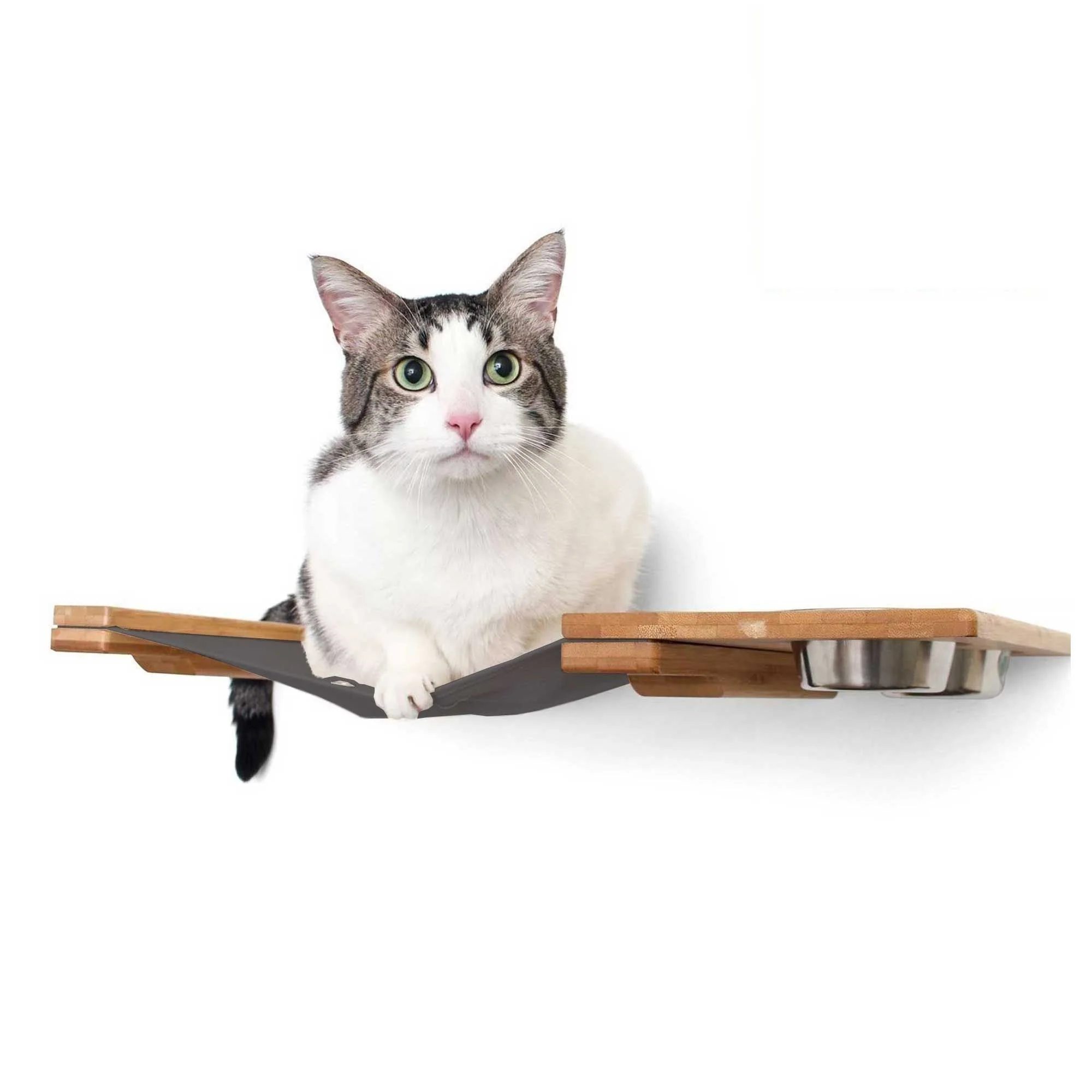 Dog Proof Cat Feeder - Wall-Mounted - Raised - Image 11
