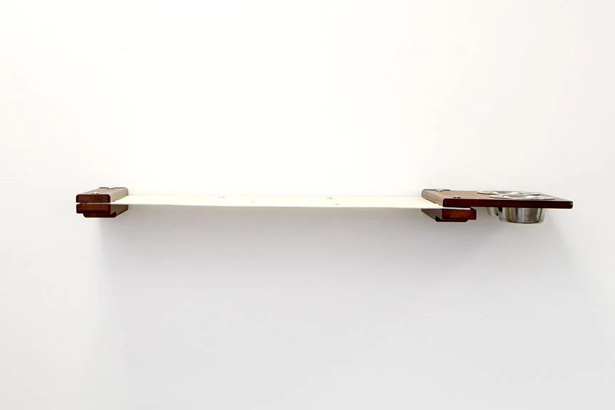 Dog Proof Cat Feeder - Wall-Mounted - Raised - Image 15