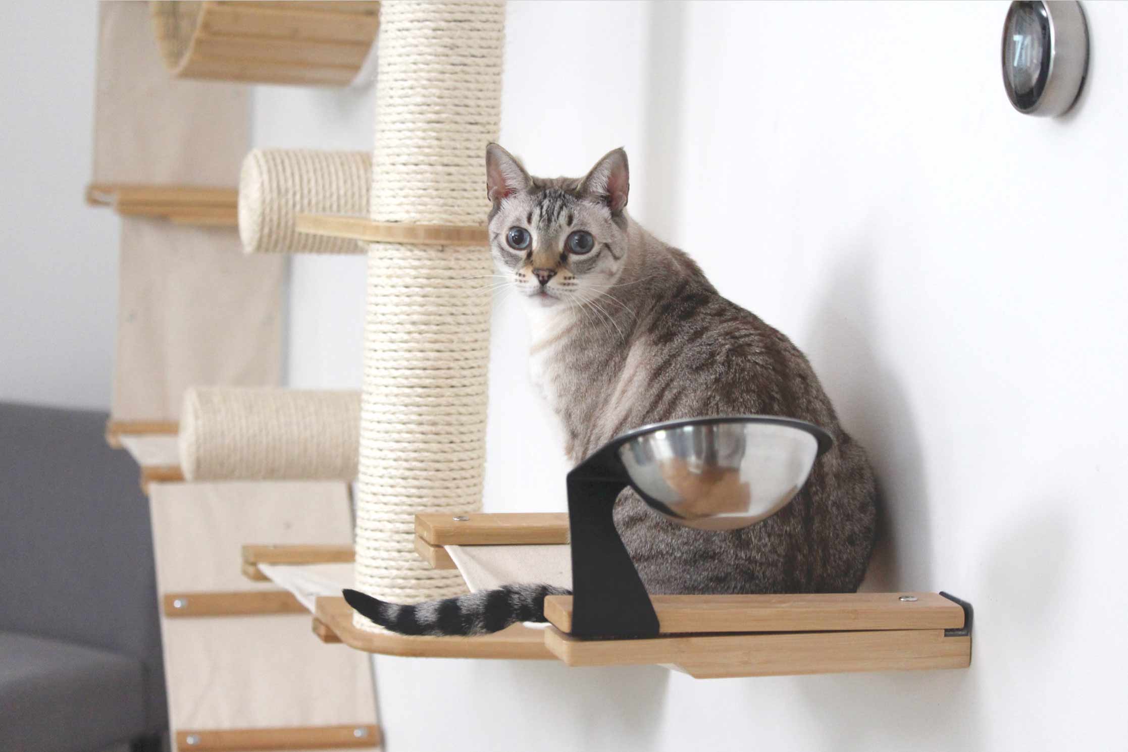 Dog Proof Cat Feeder - Wall-Mounted - Raised - Image 2