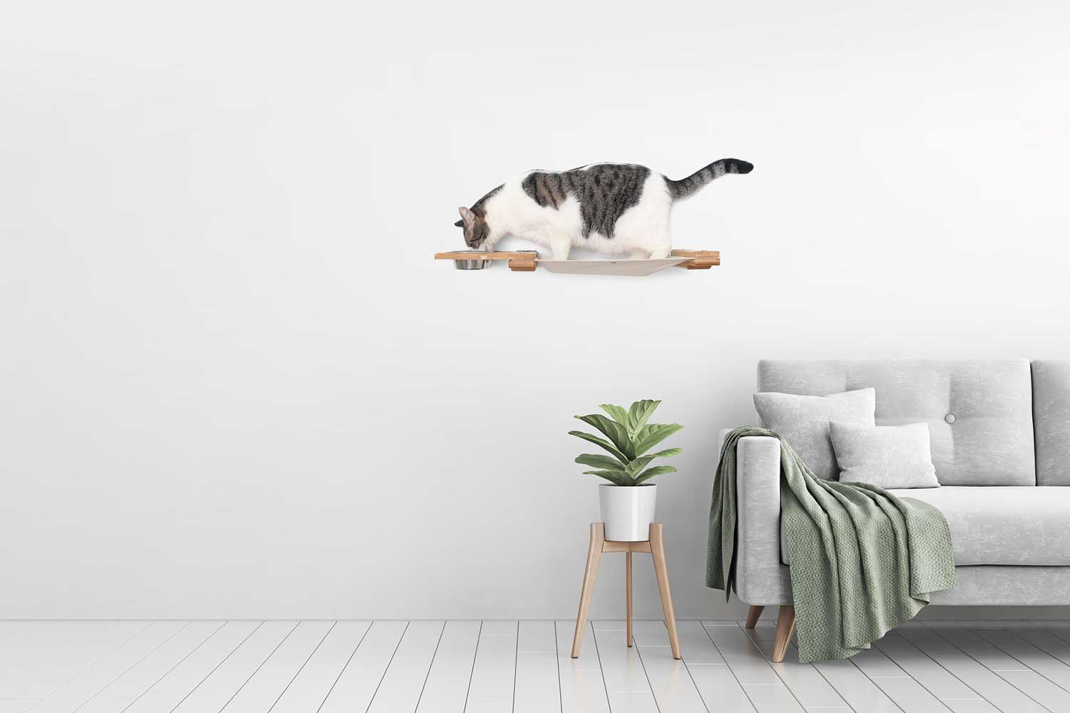 Dog Proof Cat Feeder - Wall-Mounted - Raised - Image 21