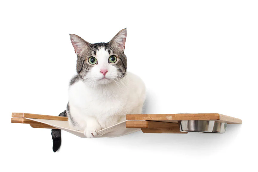 Dog Proof Cat Feeder - Wall-Mounted - Raised - Image 3