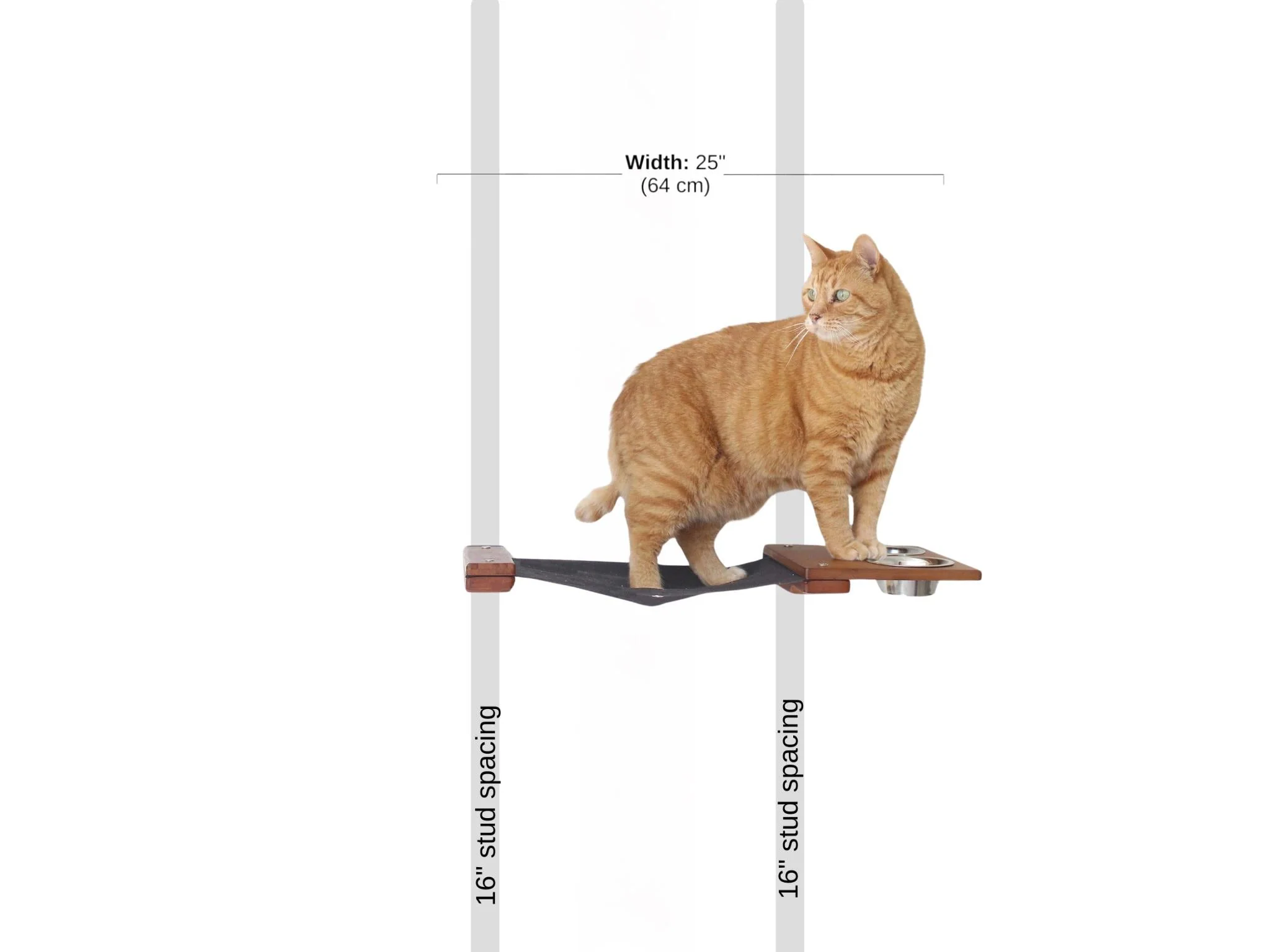 Dog Proof Cat Feeder - Wall-Mounted - Raised - Image 32