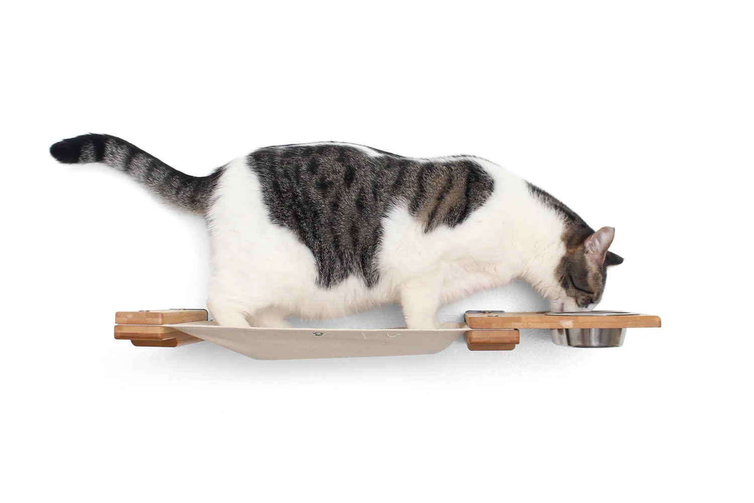 Dog Proof Cat Feeder - Wall-Mounted - Raised - Image 6