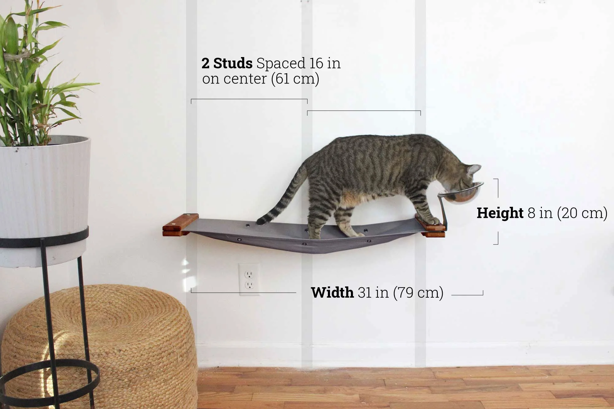 Dog Proof Cat Feeder - Wall-Mounted - Raised - Image 60