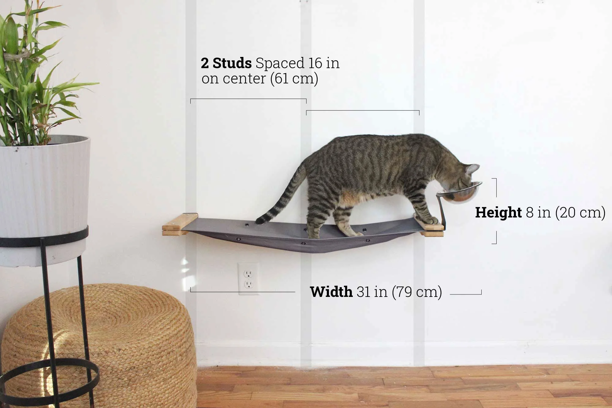 Dog Proof Cat Feeder - Wall-Mounted - Raised - Image 62