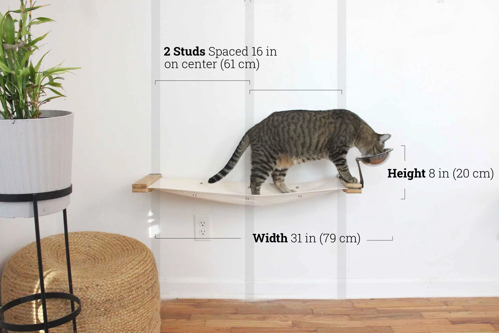 Dog Proof Cat Feeder - Wall-Mounted - Raised - Image 63