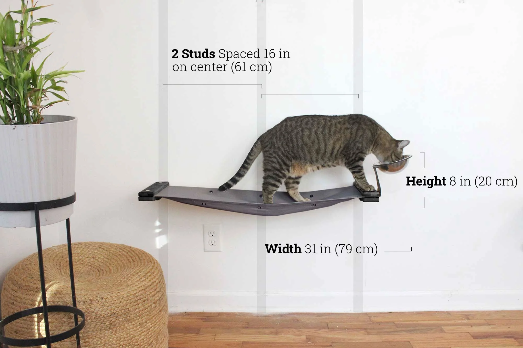 Dog Proof Cat Feeder - Wall-Mounted - Raised - Image 64