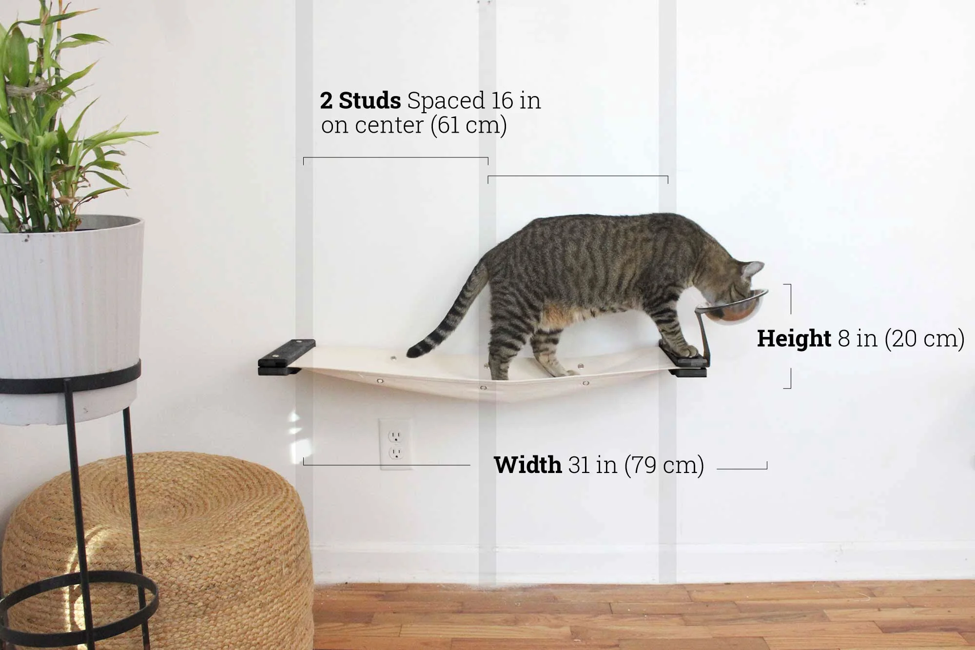 Dog Proof Cat Feeder - Wall-Mounted - Raised - Image 65