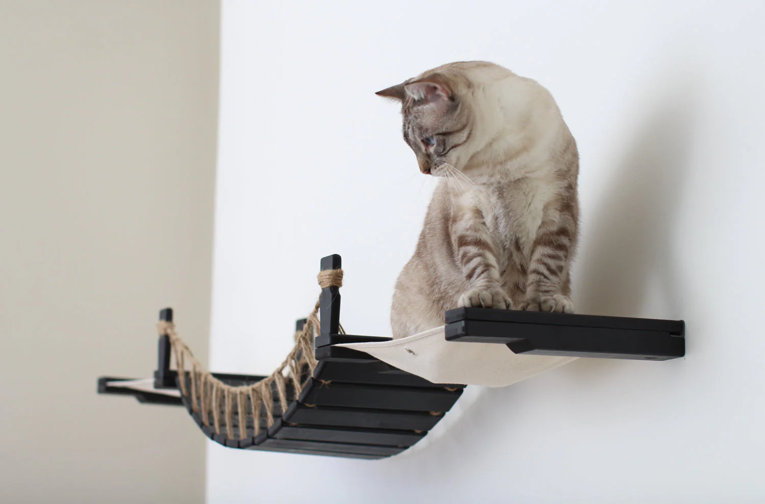 Double Cat Hammock and Climbing Bridge Combo - Image 2