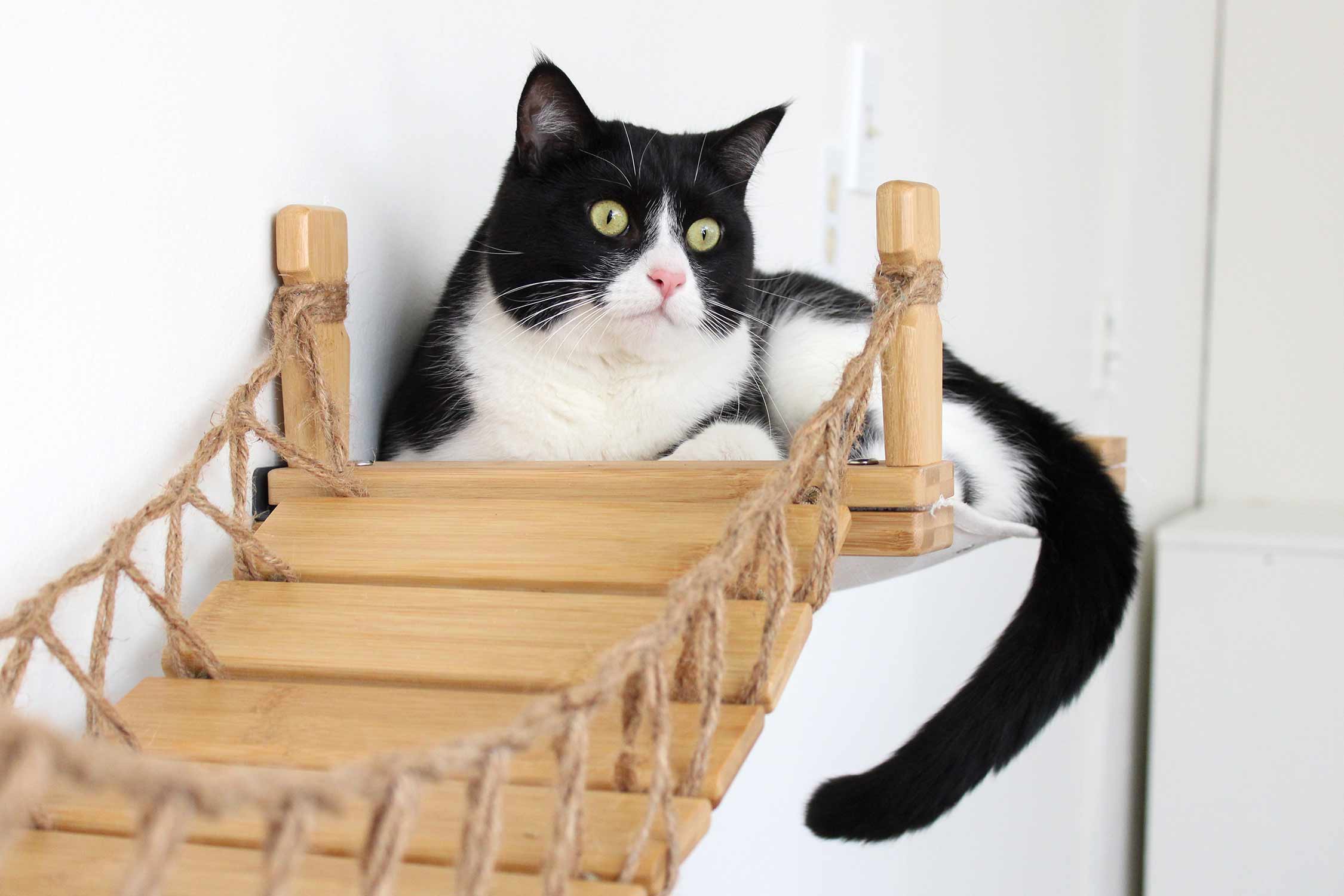 Double Cat Hammock and Climbing Bridge Combo - Image 23