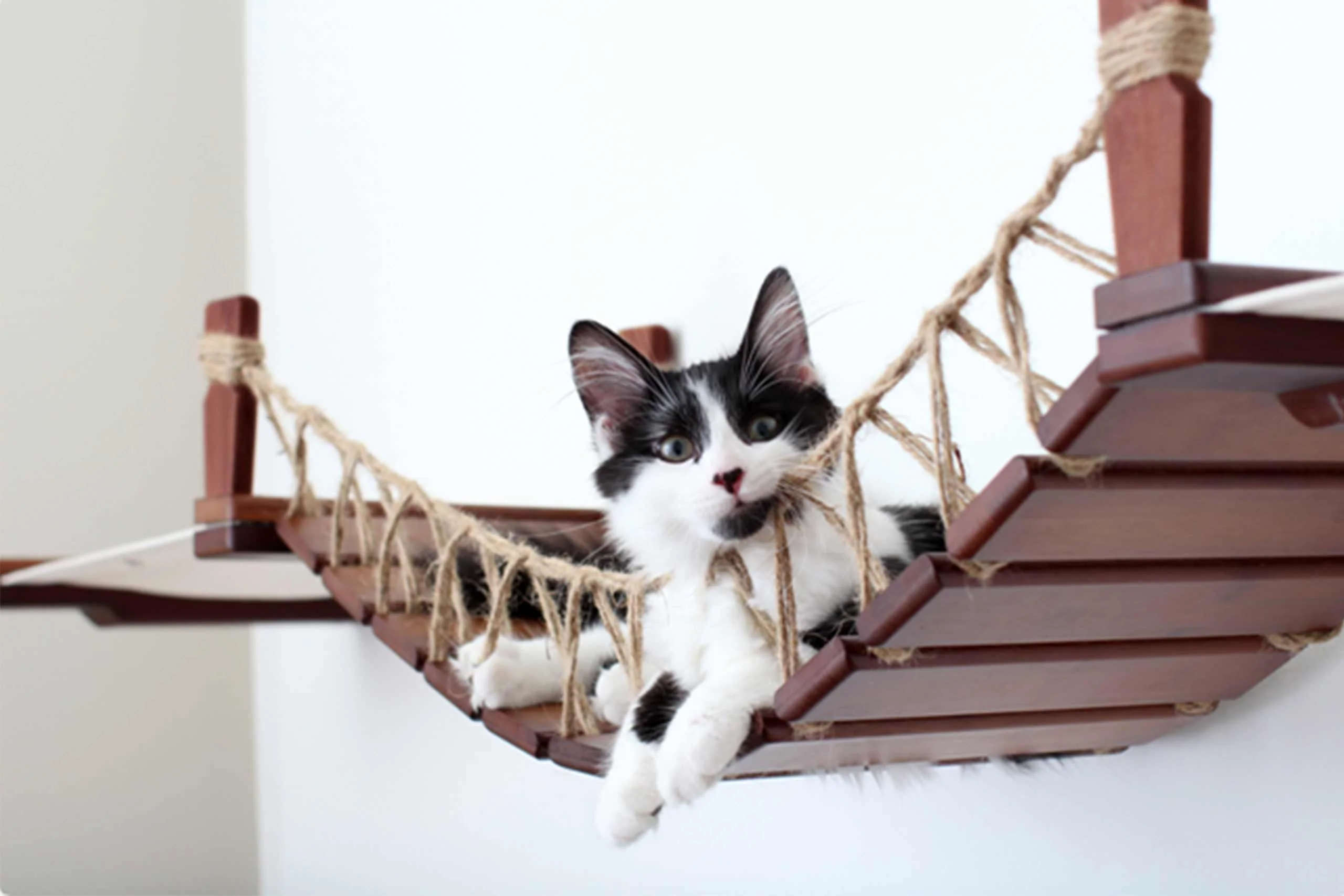 Double Cat Hammock and Climbing Bridge Combo - Image 34