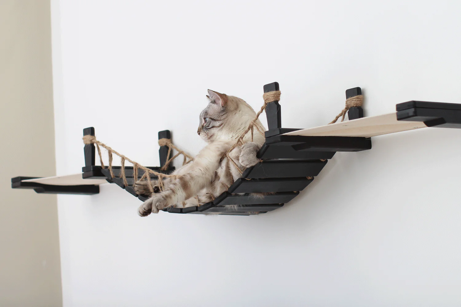 Double Cat Hammock and Climbing Bridge Combo - Image 41