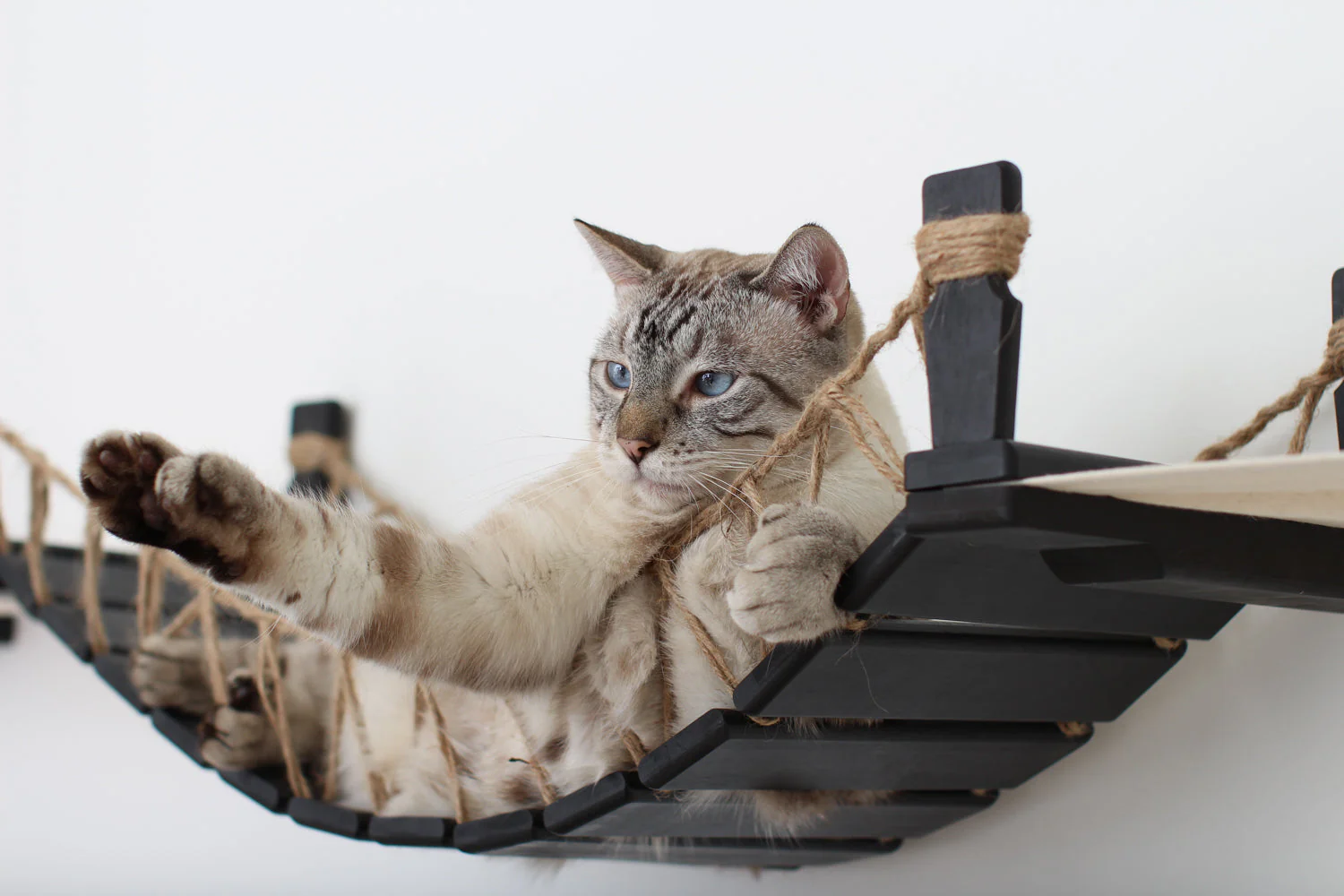 Double Cat Hammock and Climbing Bridge Combo - Image 9
