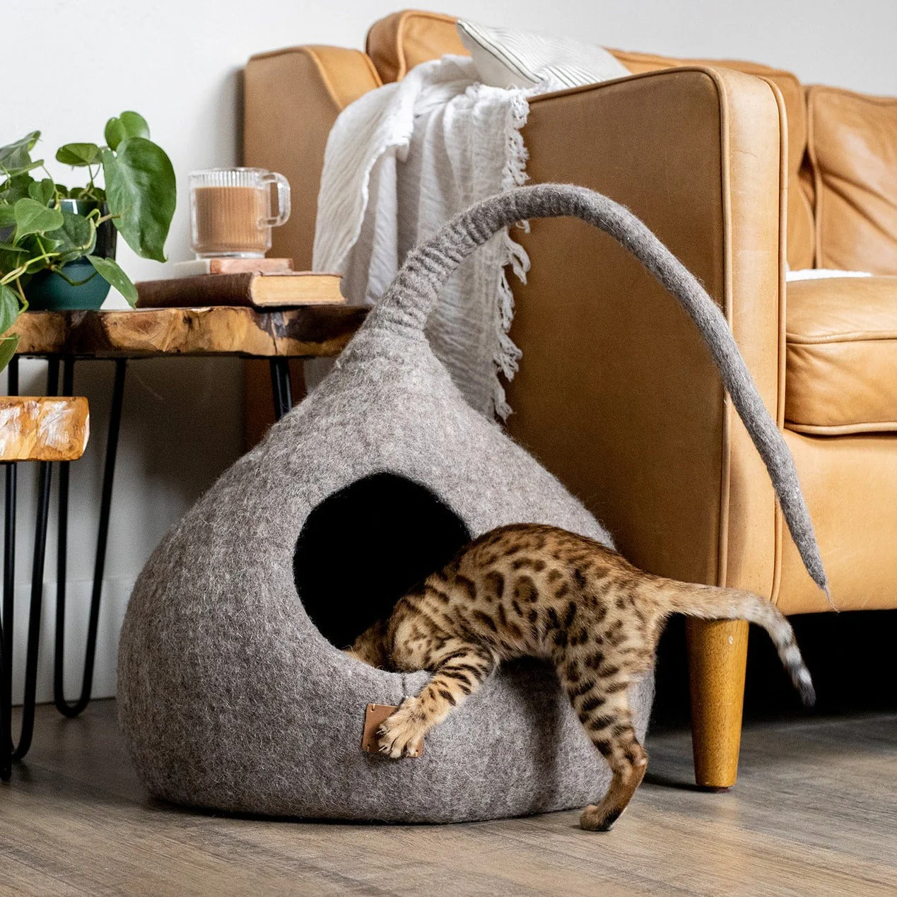Earth Brown | Tail Style Cave - Image 5