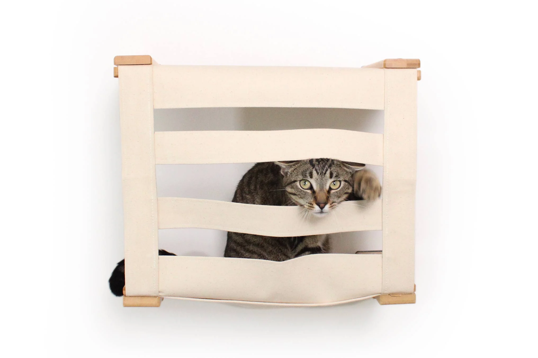 Enclosed Cat Bed - Cat Wall Cubby - Image 5