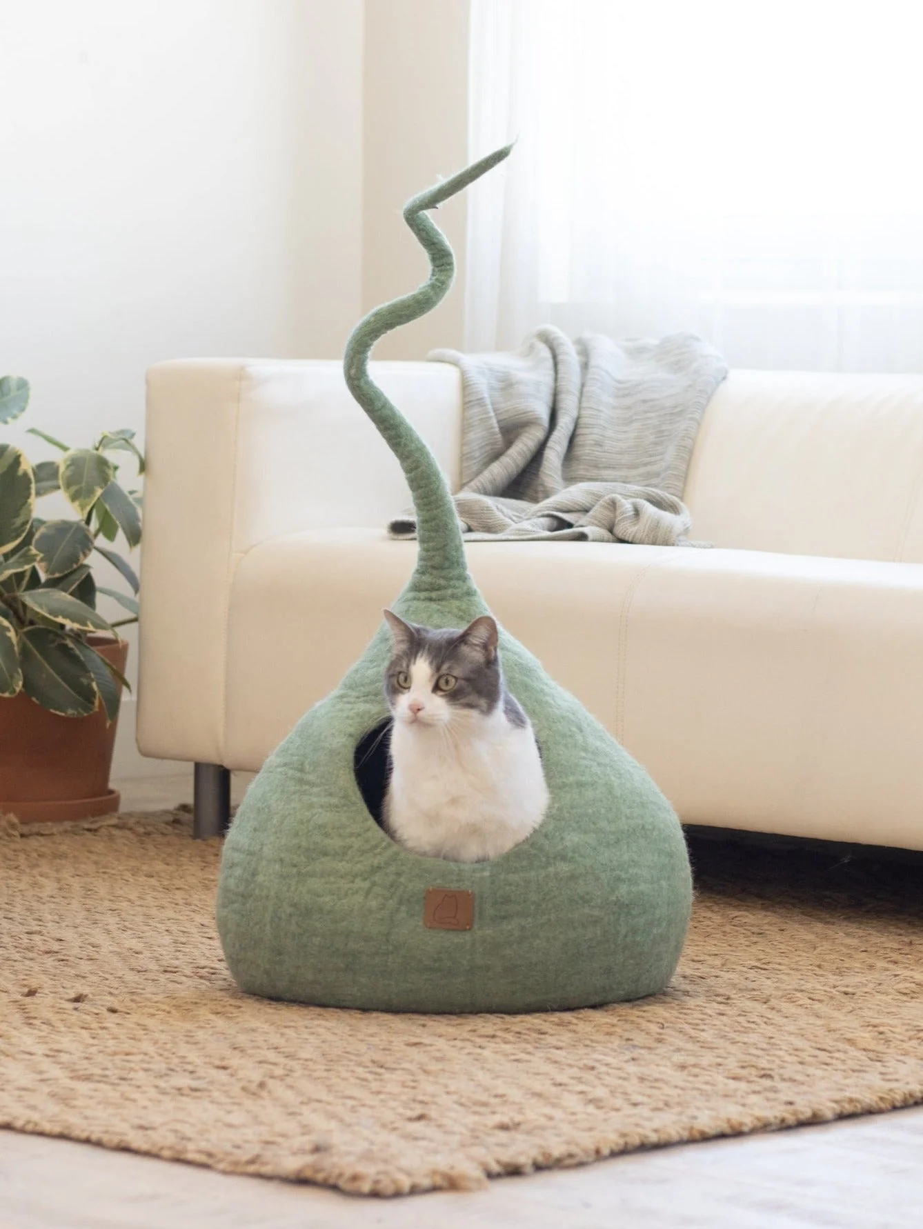 Eucalyptus Green | Tail Style Cave - Image 3