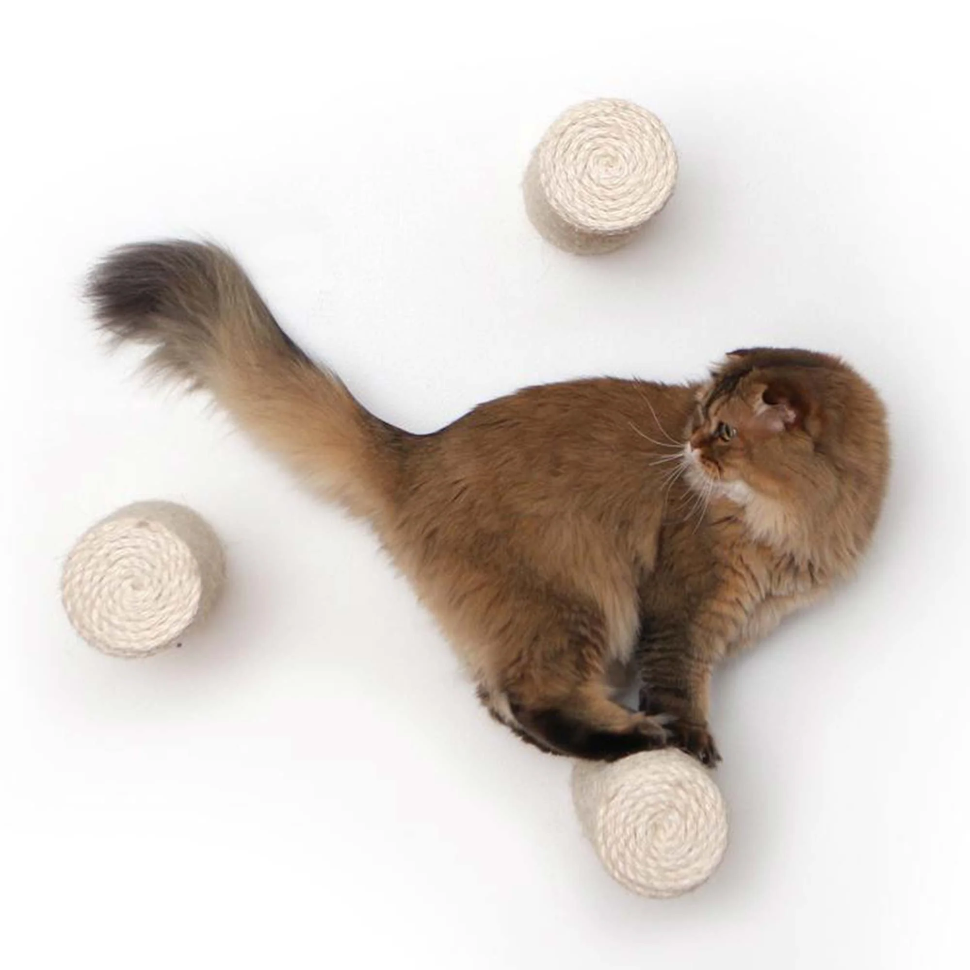 Floating Cat Step for Wall - Image 10