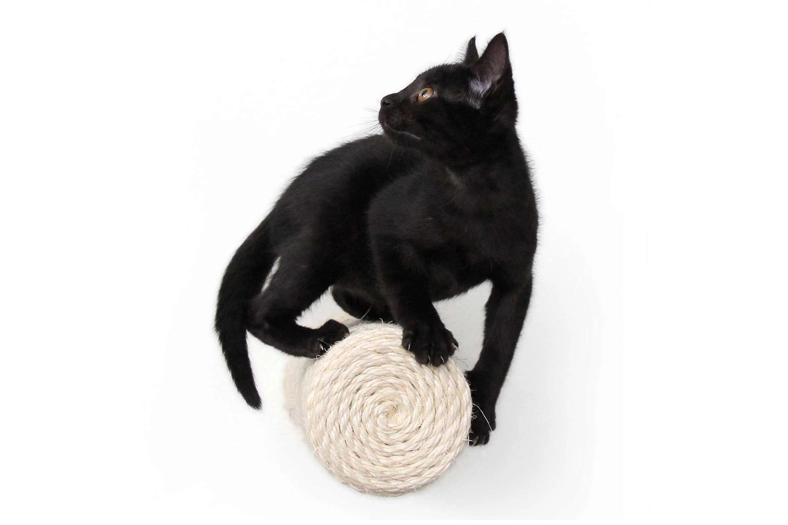 Floating Cat Step for Wall - Image 2