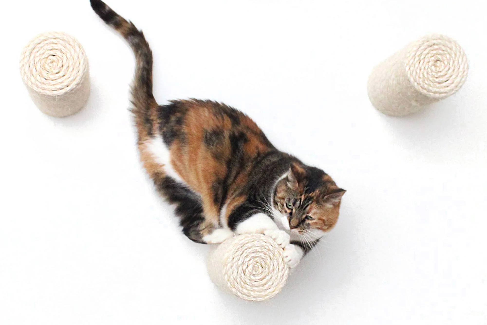 Floating Cat Step for Wall - Image 7