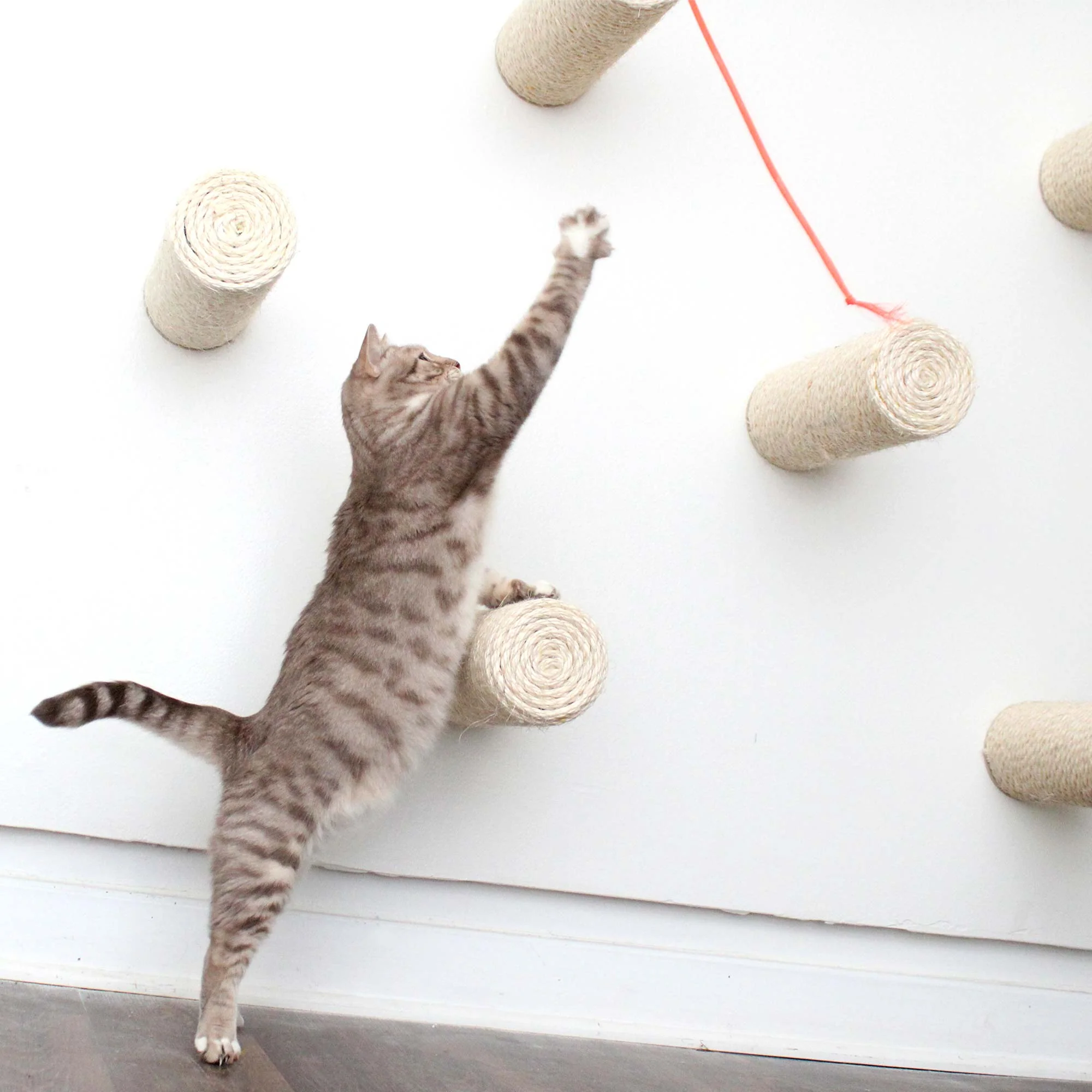 Floating Cat Step for Wall - Image 8