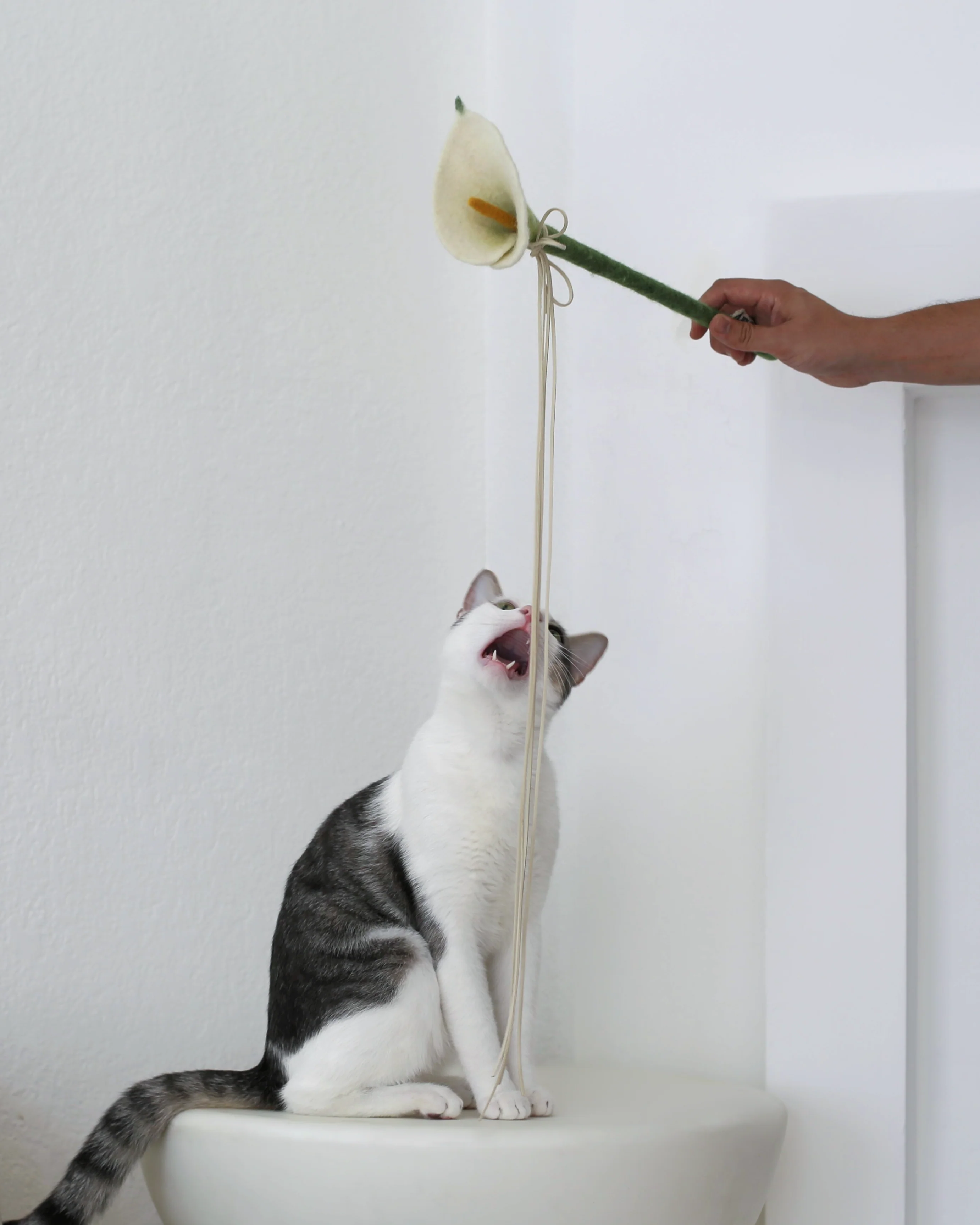 Flora Wand
