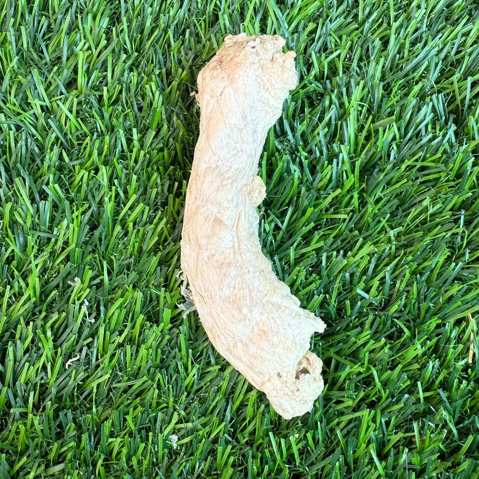 Freeze-Dried Chicken Neck - 1 Count